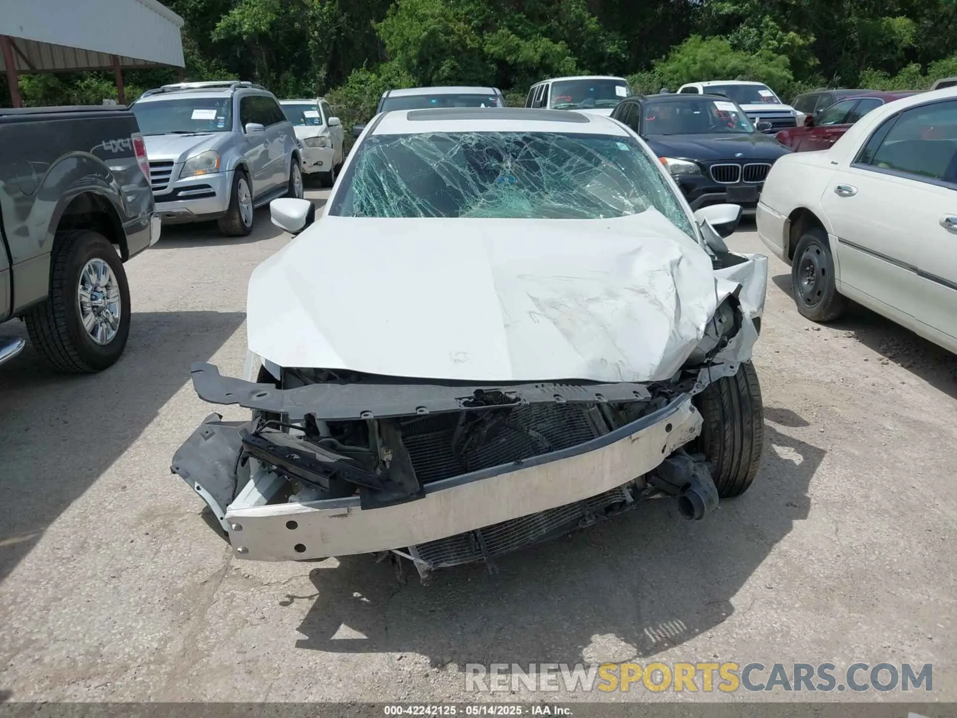 12 Photograph of a damaged car 19UDE2F30KA011174 ACURA ILX 2019