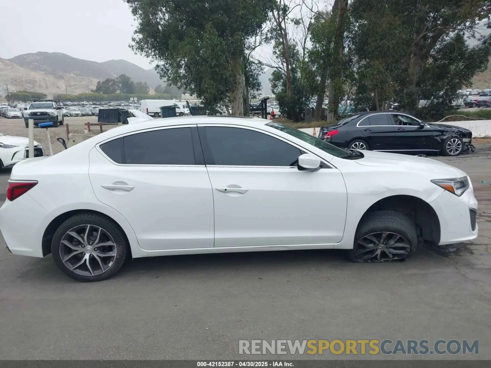 13 Photograph of a damaged car 19UDE2F74KA006787 ACURA ILX 2019