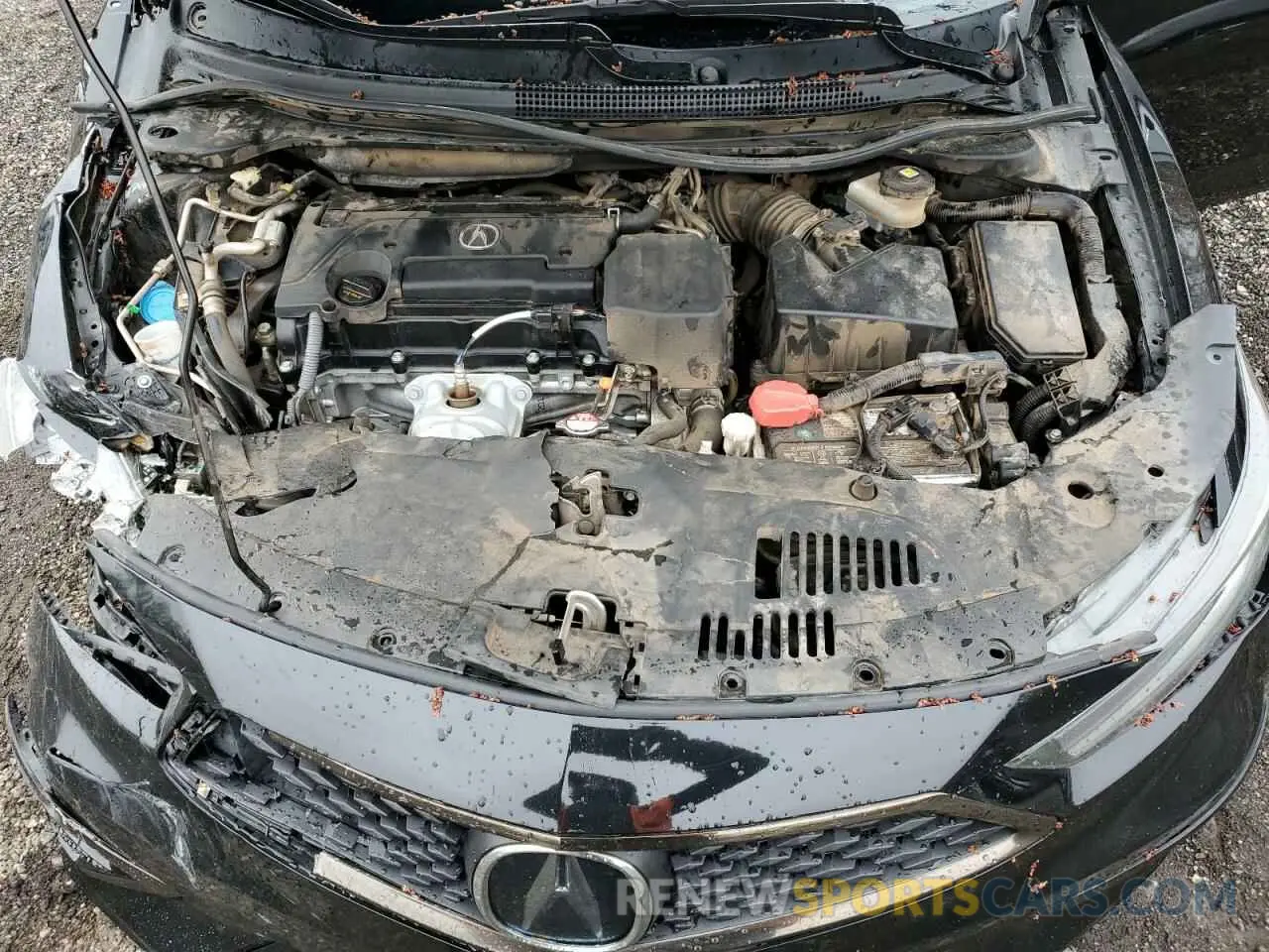 13 Photograph of a damaged car 19UDE2F80NA007870 ACURA ILX 2022