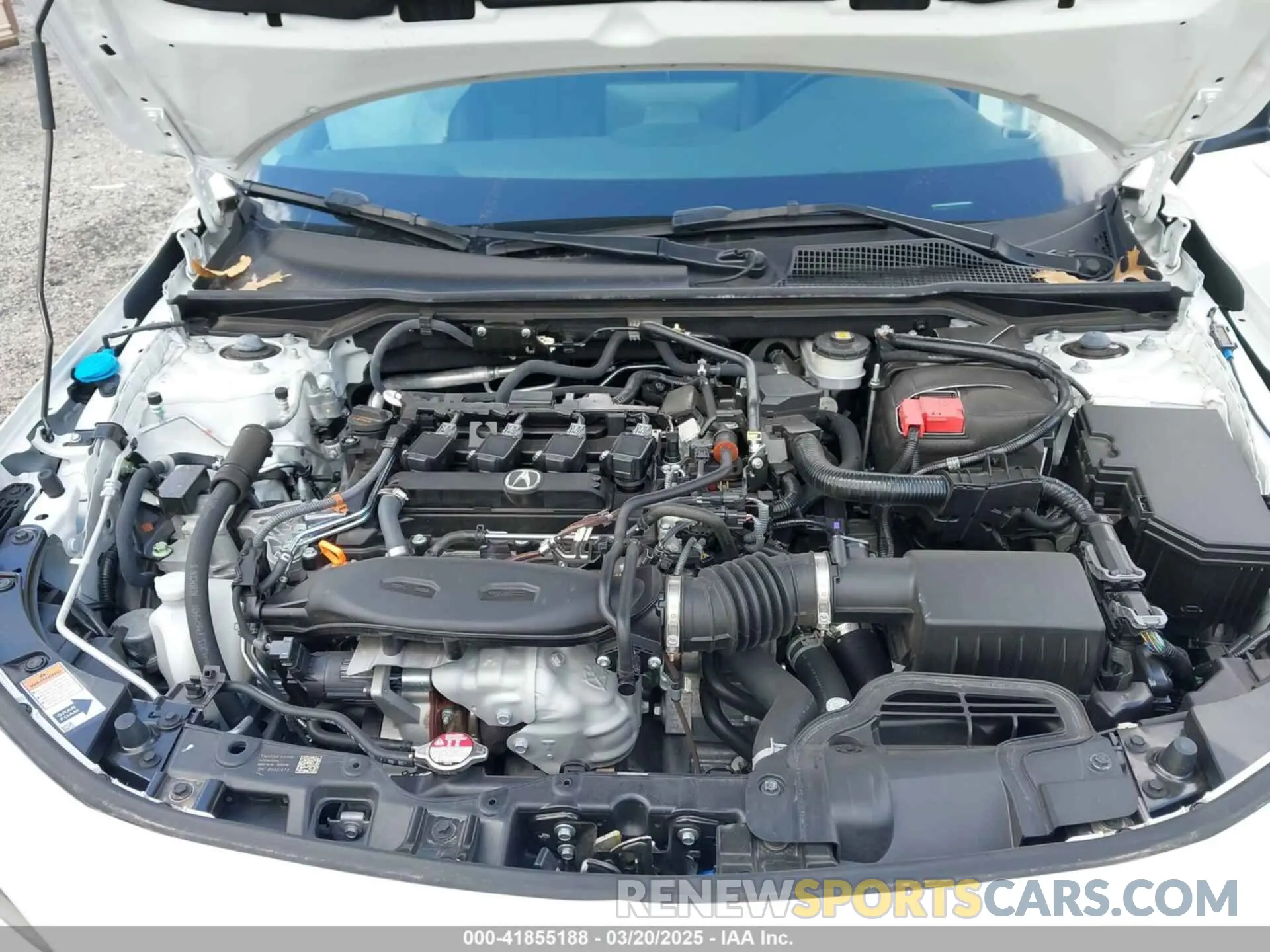 10 Photograph of a damaged car 19UDE4H26PA021859 ACURA INTEGRA 2023