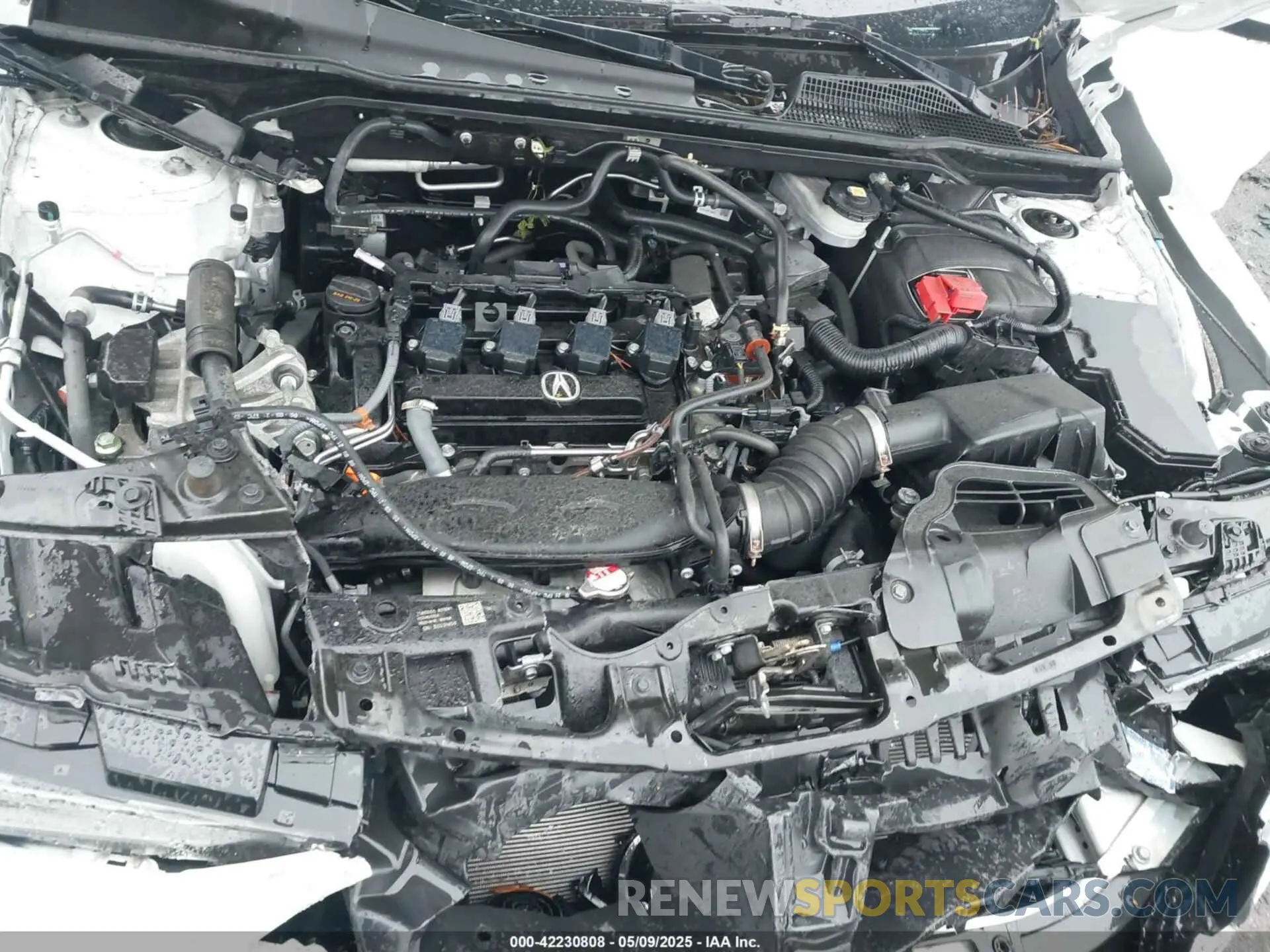 10 Photograph of a damaged car 19UDE4H36PA023376 ACURA INTEGRA 2023