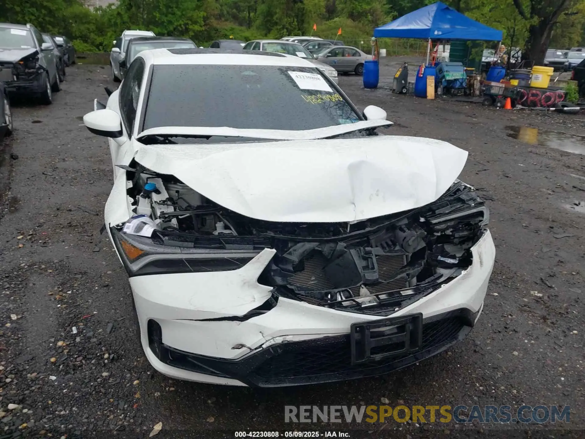 12 Photograph of a damaged car 19UDE4H36PA023376 ACURA INTEGRA 2023