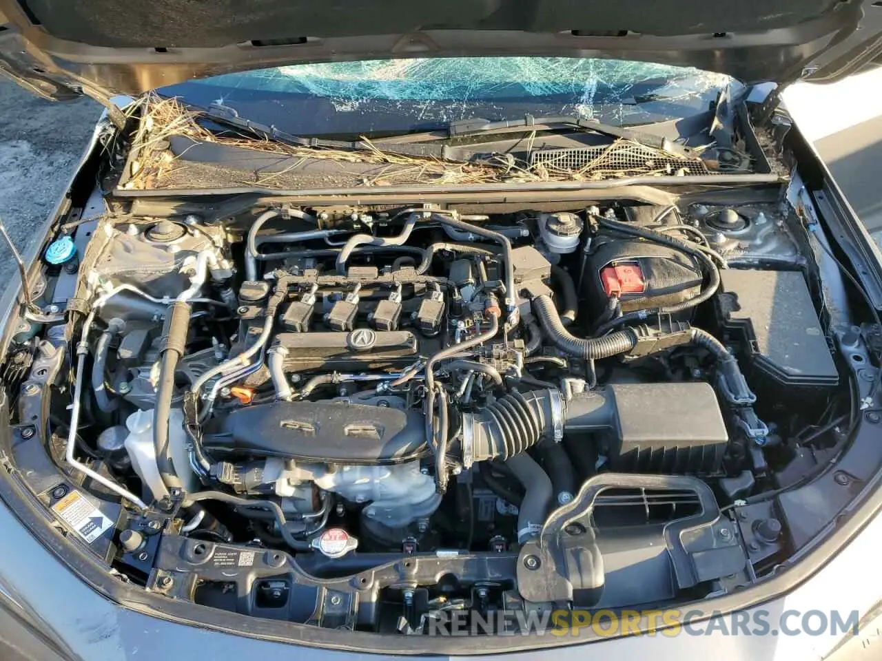 11 Photograph of a damaged car 19UDE4H23RA004357 ACURA INTEGRA 2024