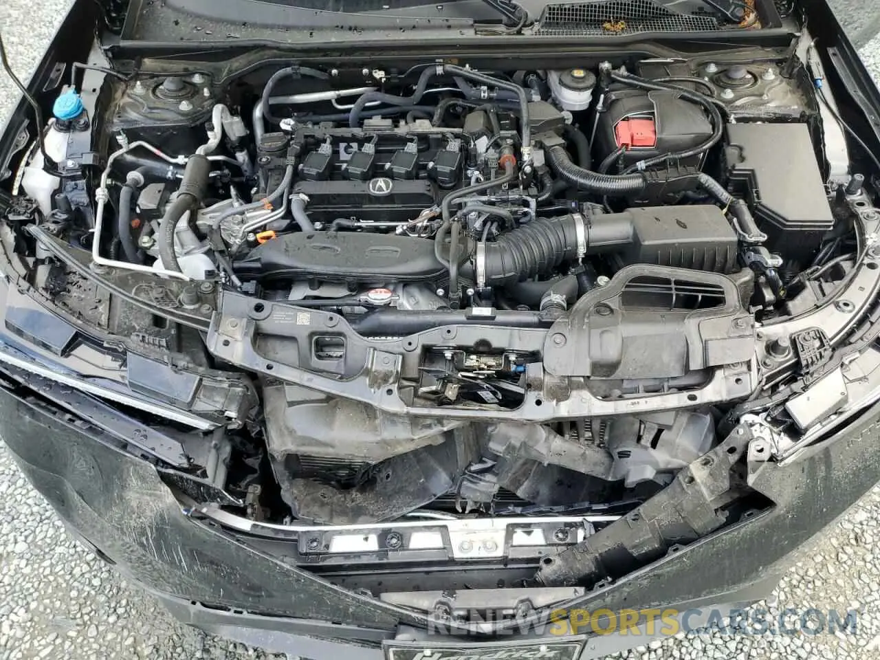 13 Photograph of a damaged car 19UDE4H28RA028153 ACURA INTEGRA 2024