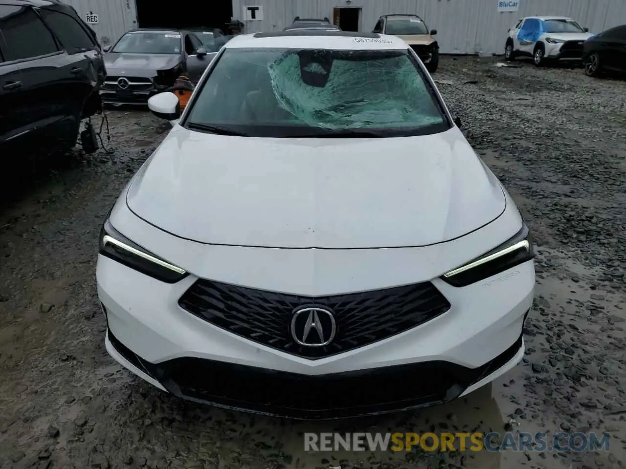 5 Photograph of a damaged car 19UDE4H31RA029010 ACURA INTEGRA A- 2024