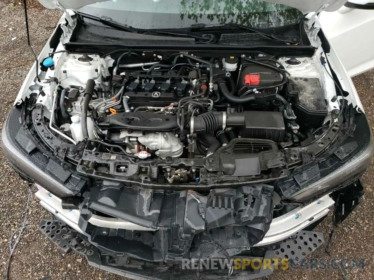 11 Photograph of a damaged car 19UDE4H67RA800824 ACURA INTEGRA A- 2024