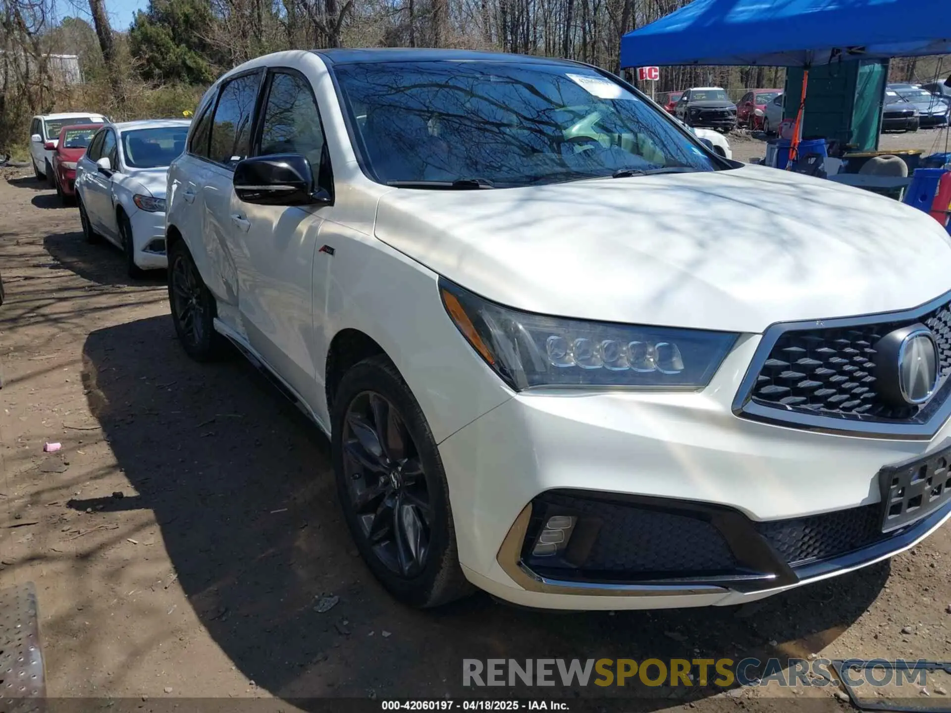 13 Photograph of a damaged car 5J8YD4H08KL009339 ACURA MDX 2019