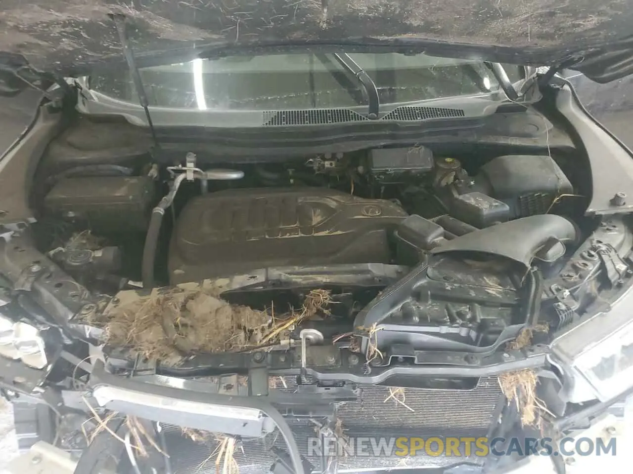 13 Photograph of a damaged car 5J8YD4H56KL009397 ACURA MDX 2019