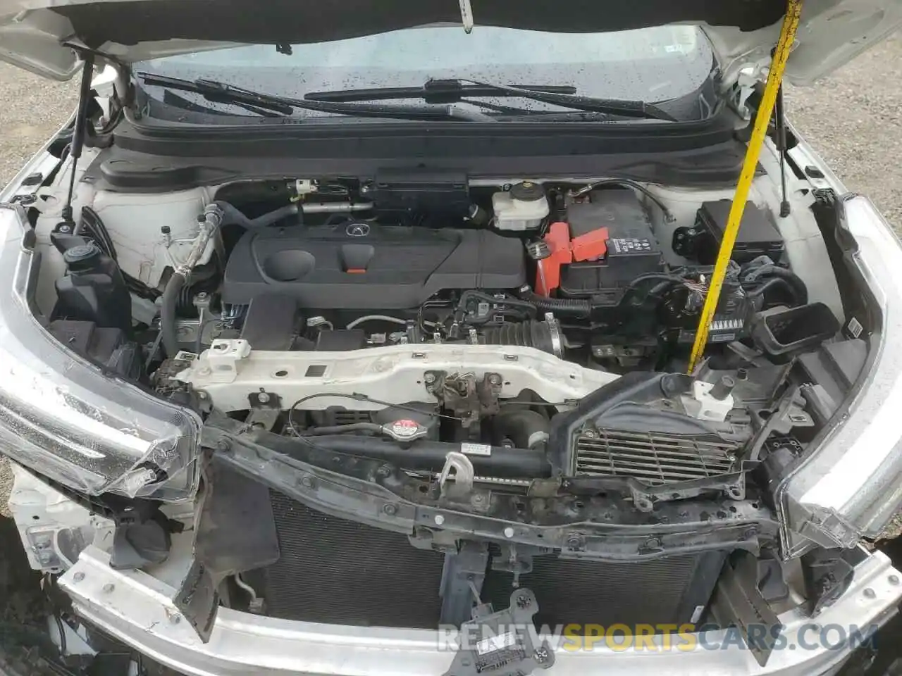 12 Photograph of a damaged car 5J8TC1H51KL013966 ACURA RDX 2019