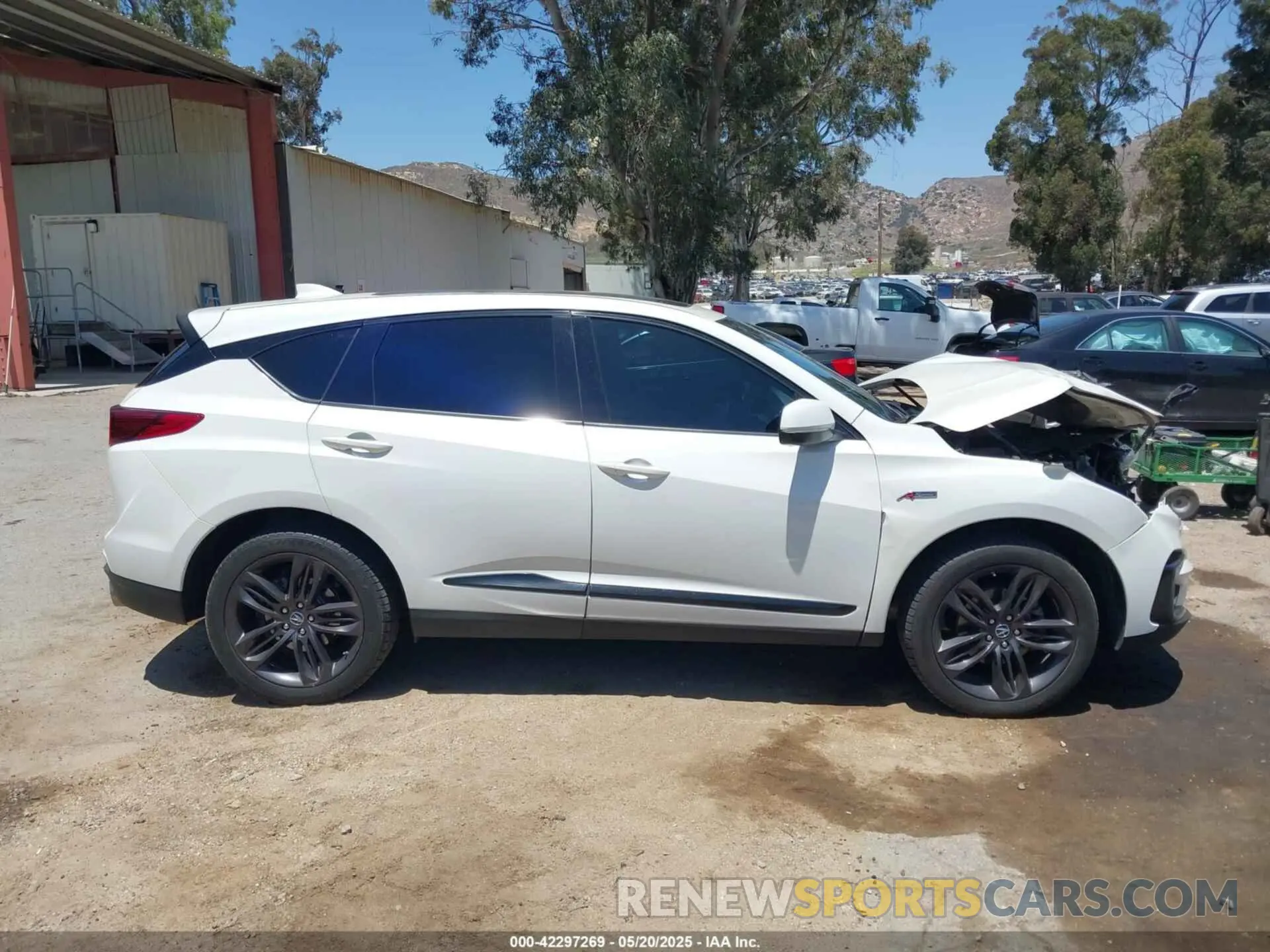 13 Photograph of a damaged car 5J8TC1H64KL000301 ACURA RDX 2019