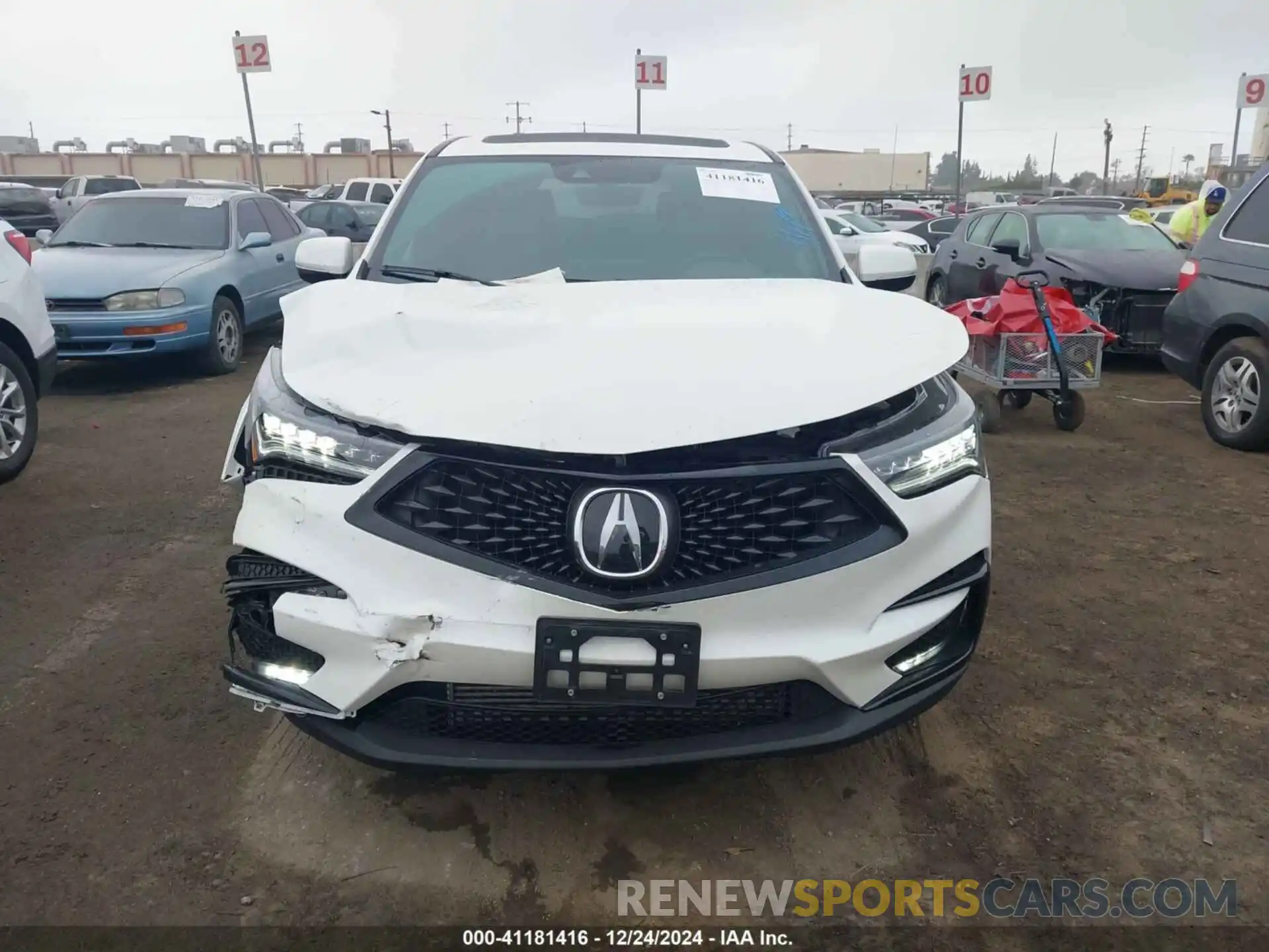 12 Photograph of a damaged car 5J8TC1H64KL009225 ACURA RDX 2019