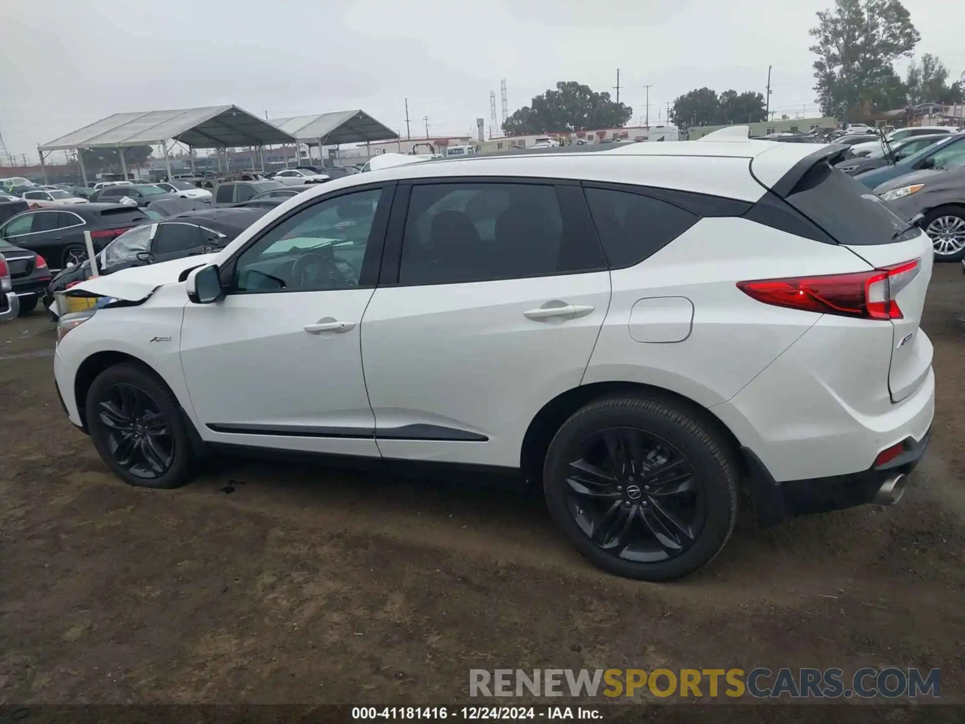 14 Photograph of a damaged car 5J8TC1H64KL009225 ACURA RDX 2019