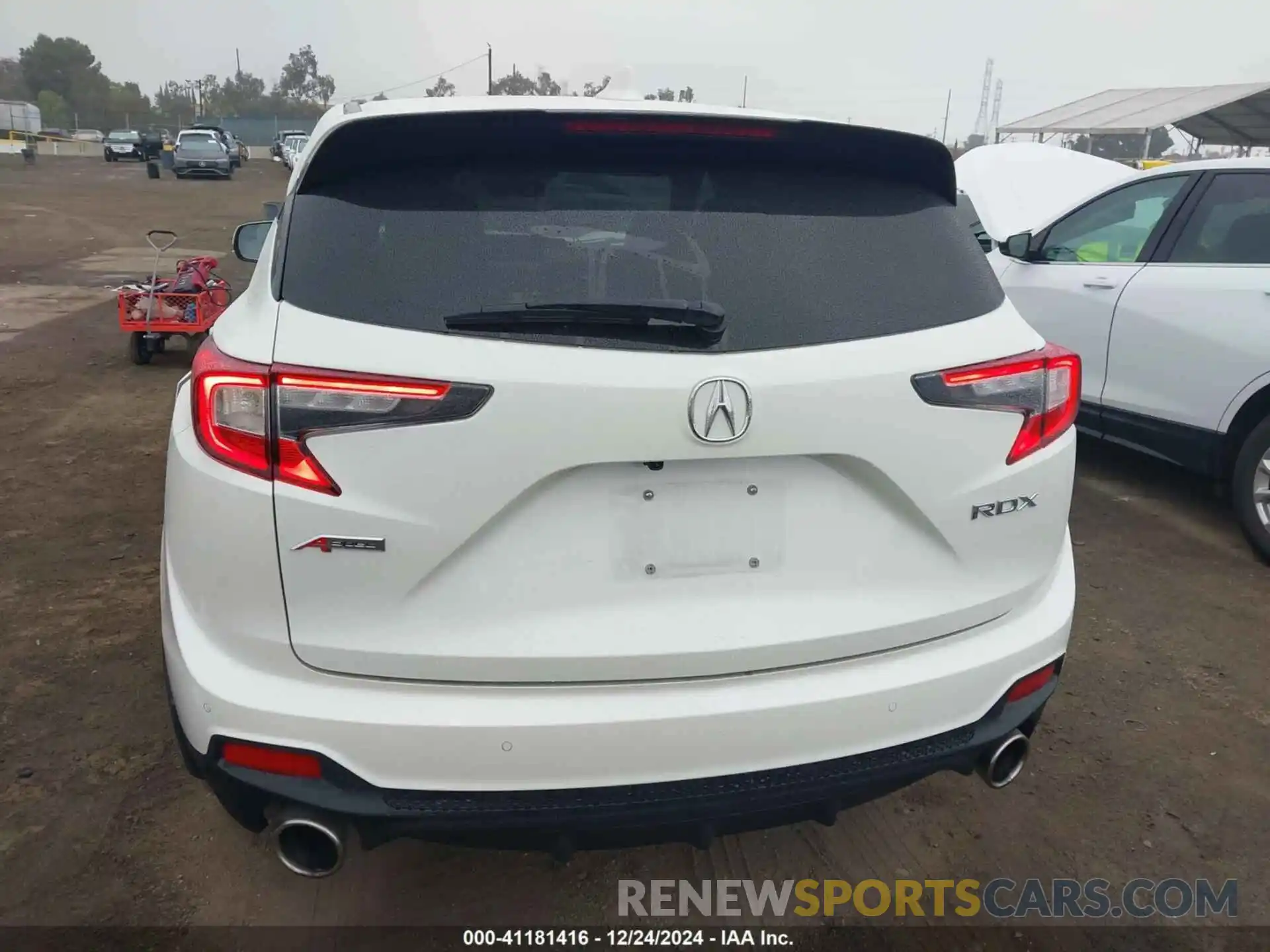 16 Photograph of a damaged car 5J8TC1H64KL009225 ACURA RDX 2019