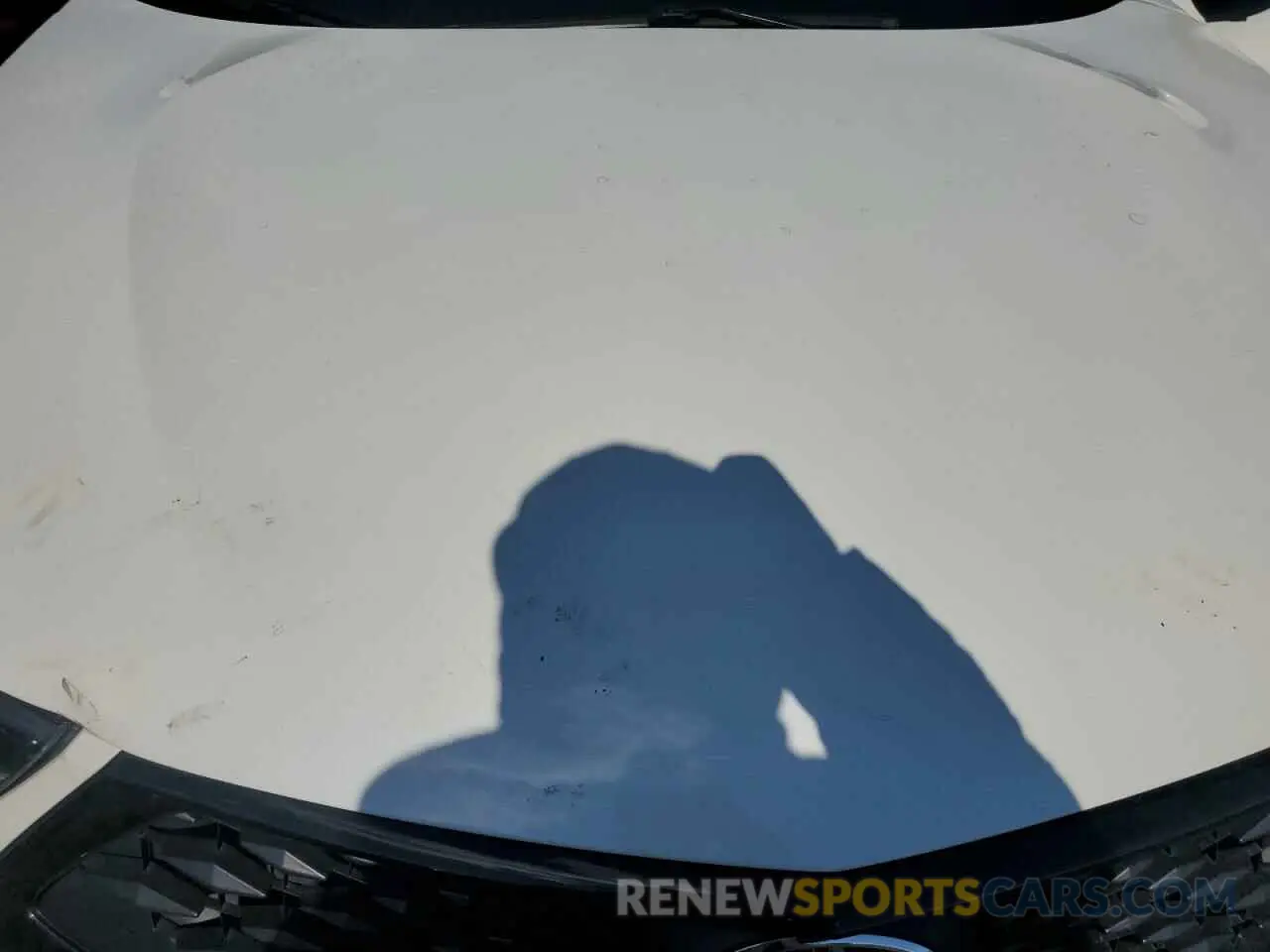 12 Photograph of a damaged car 5J8TC2H68KL016975 ACURA RDX 2019