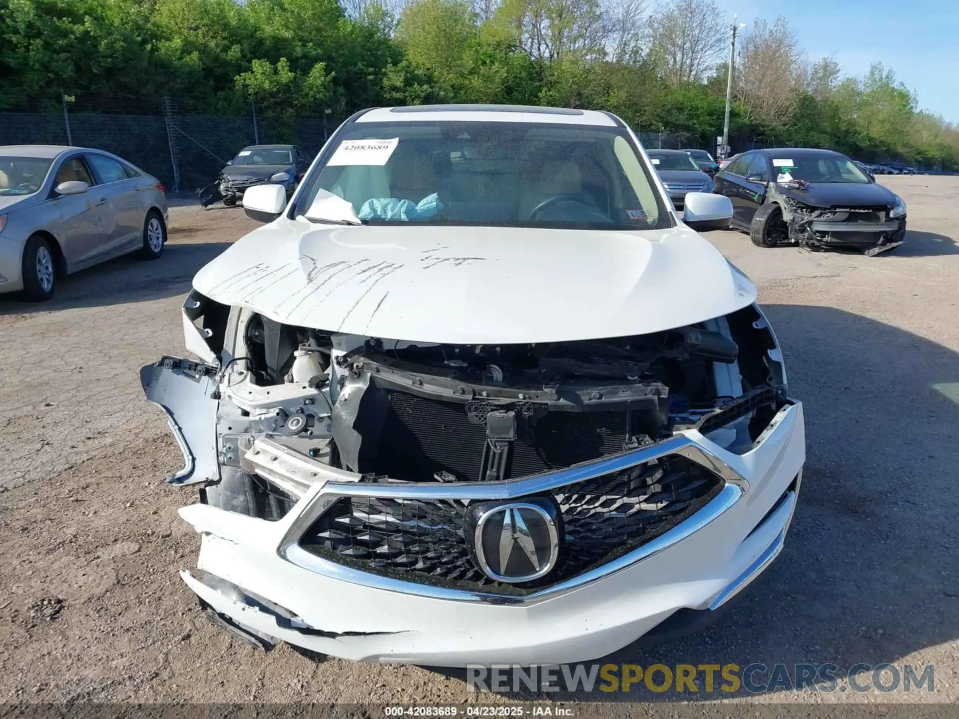 13 Photograph of a damaged car 5J8TC2H34ML006369 ACURA RDX 2021