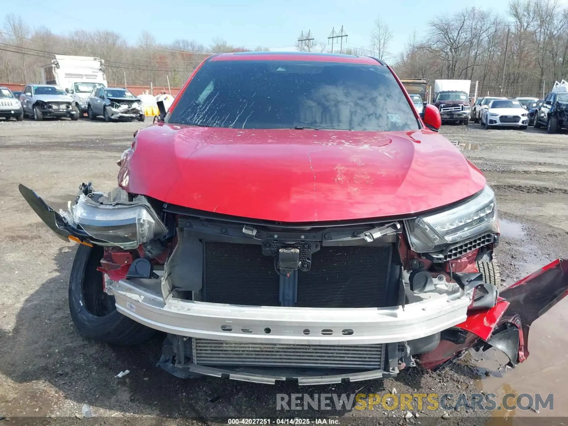 12 Photograph of a damaged car 5J8TC2H62ML035346 ACURA RDX 2021