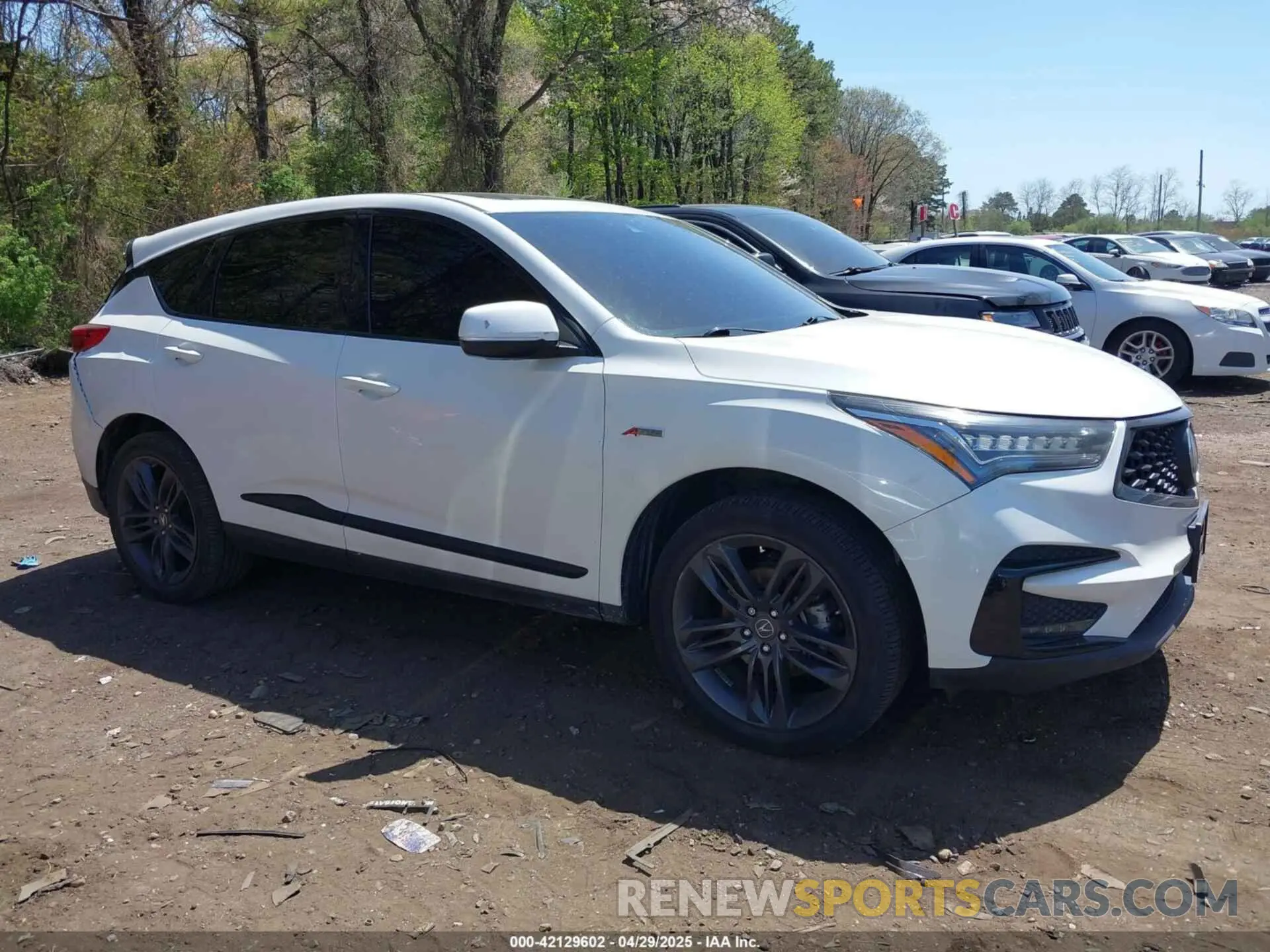 13 Photograph of a damaged car 5J8TC2H65ML022655 ACURA RDX 2021