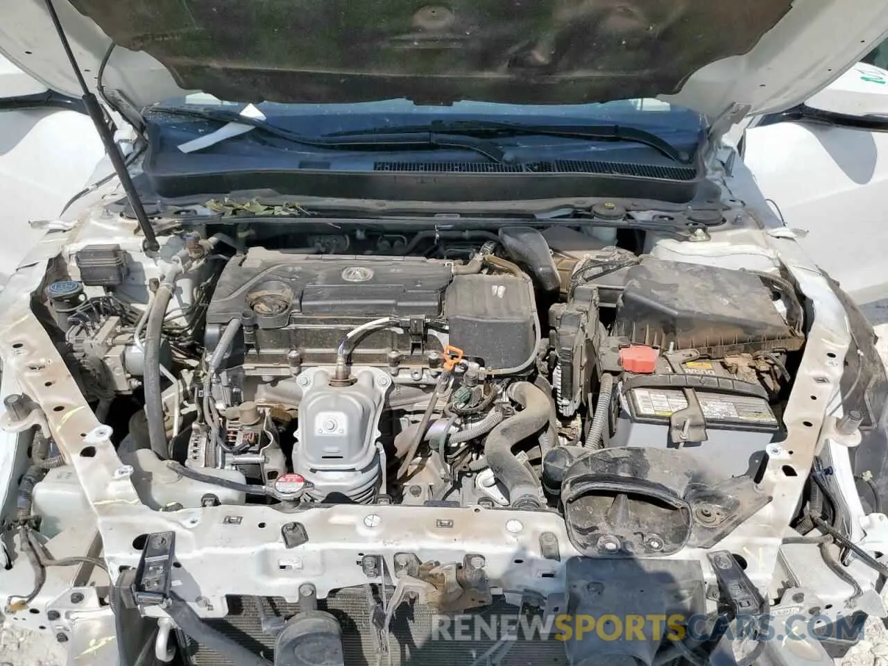 11 Photograph of a damaged car 19UUB1F30KA003482 ACURA TLX 2019