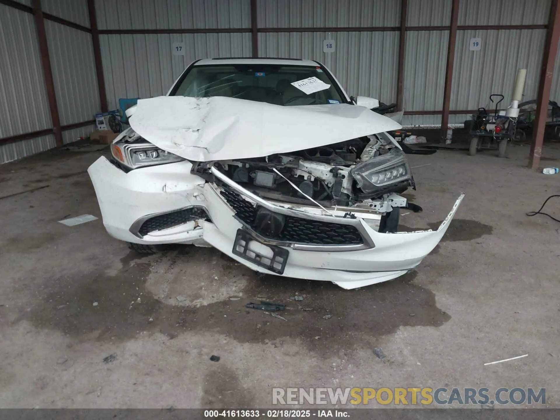 11 Photograph of a damaged car 19UUB1F31KA001174 ACURA TLX 2019