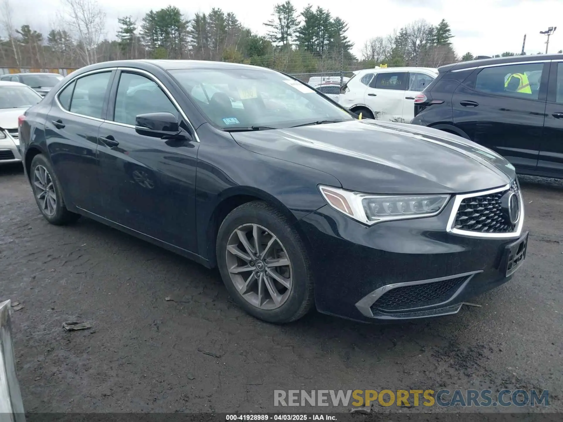 1 Photograph of a damaged car 19UUB1F32KA008425 ACURA TLX 2019