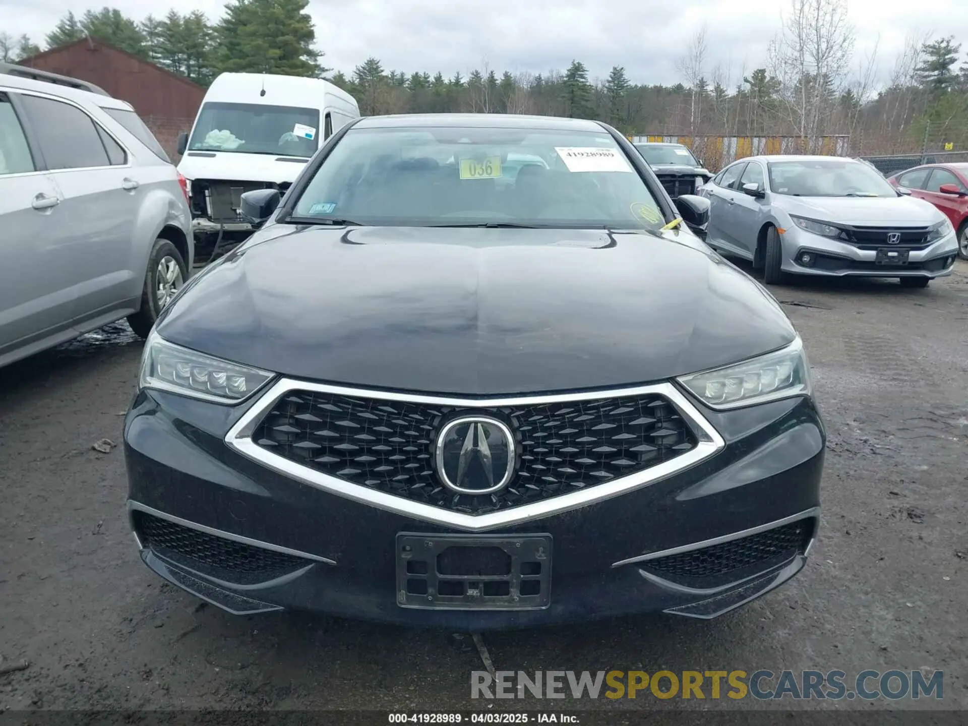 12 Photograph of a damaged car 19UUB1F32KA008425 ACURA TLX 2019