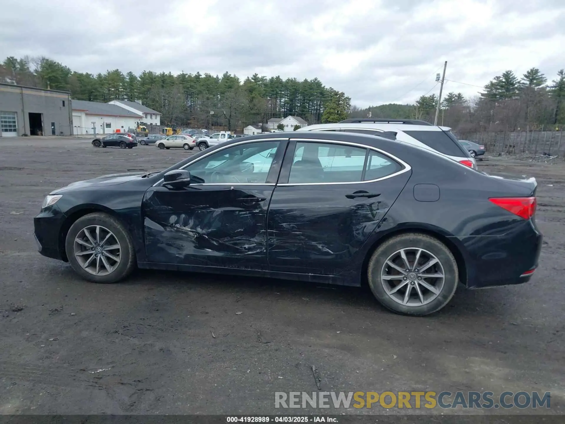 14 Photograph of a damaged car 19UUB1F32KA008425 ACURA TLX 2019