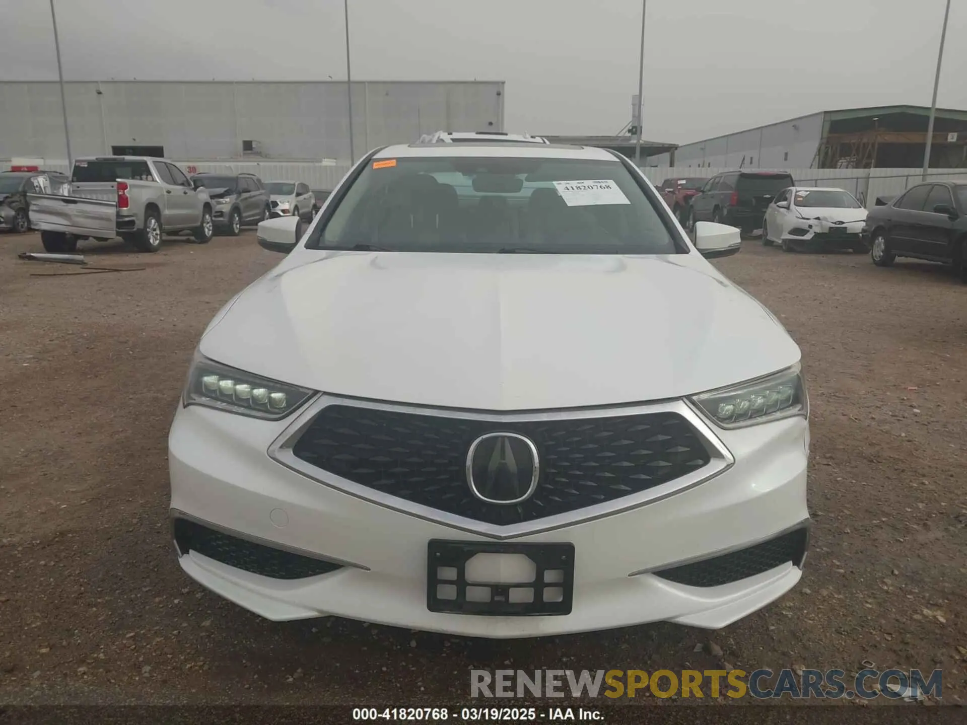 12 Photograph of a damaged car 19UUB1F36KA006211 ACURA TLX 2019