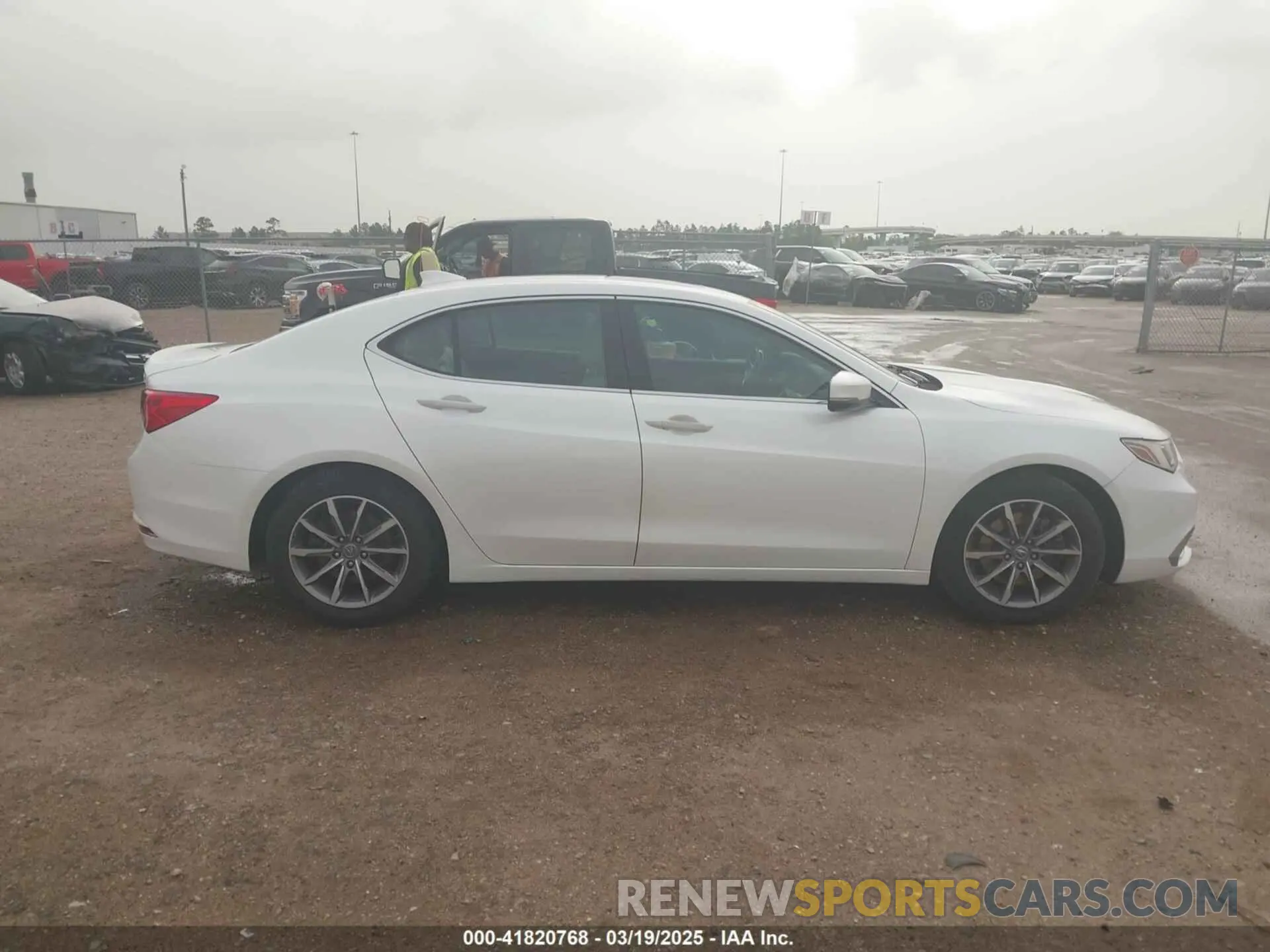 13 Photograph of a damaged car 19UUB1F36KA006211 ACURA TLX 2019