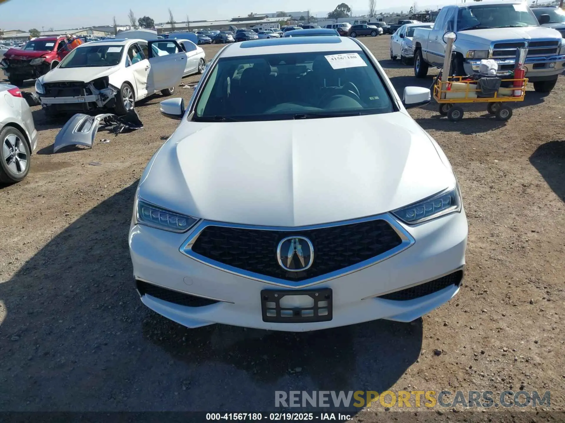 13 Photograph of a damaged car 19UUB1F37KA011109 ACURA TLX 2019
