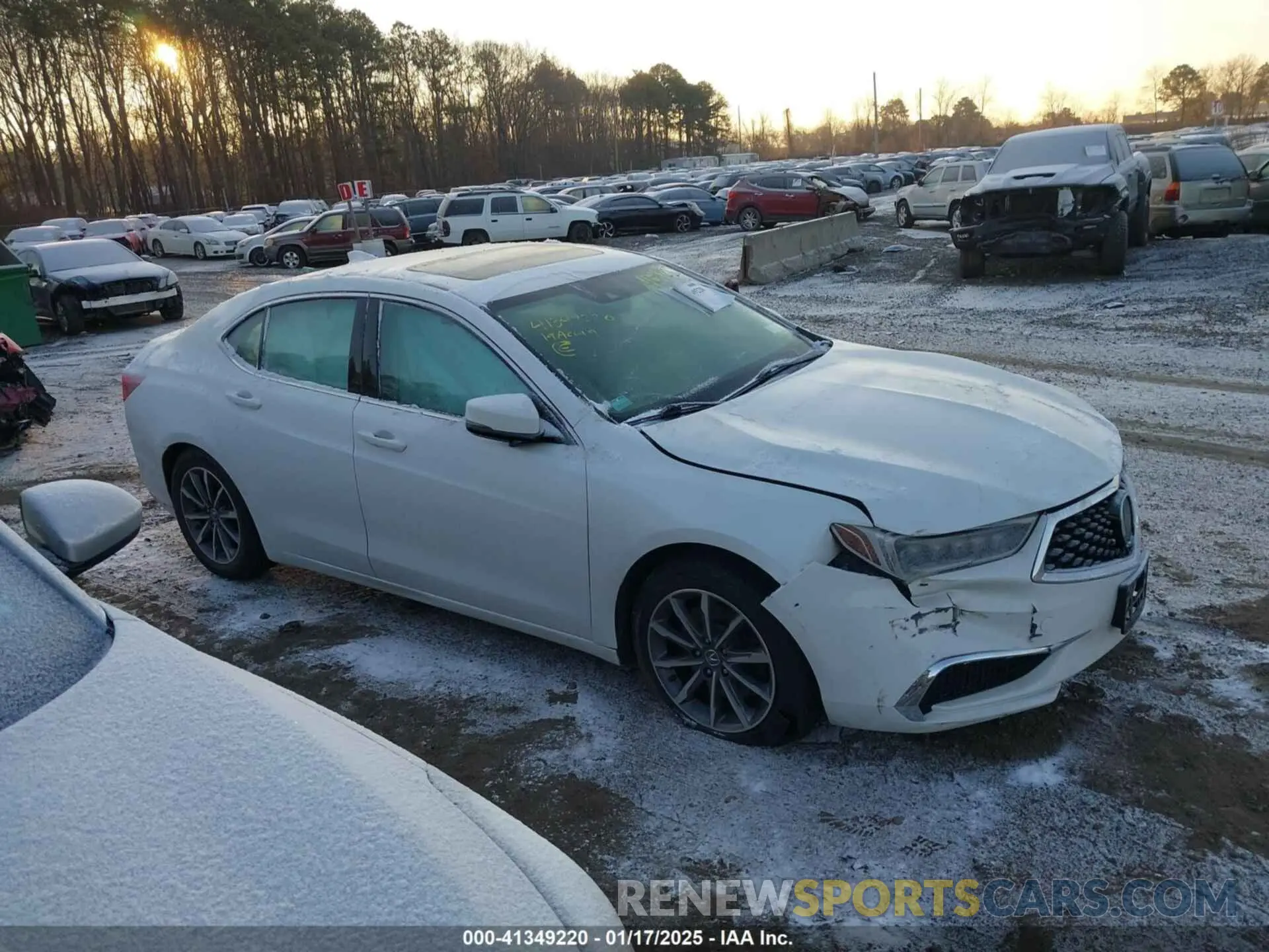 13 Photograph of a damaged car 19UUB1F39KA009006 ACURA TLX 2019