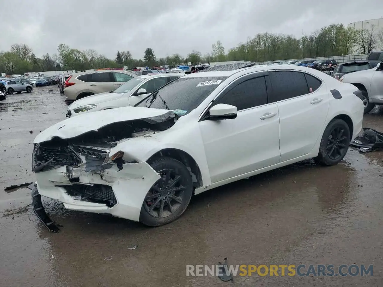 1 Photograph of a damaged car 19UUB1F3XKA009337 ACURA TLX 2019