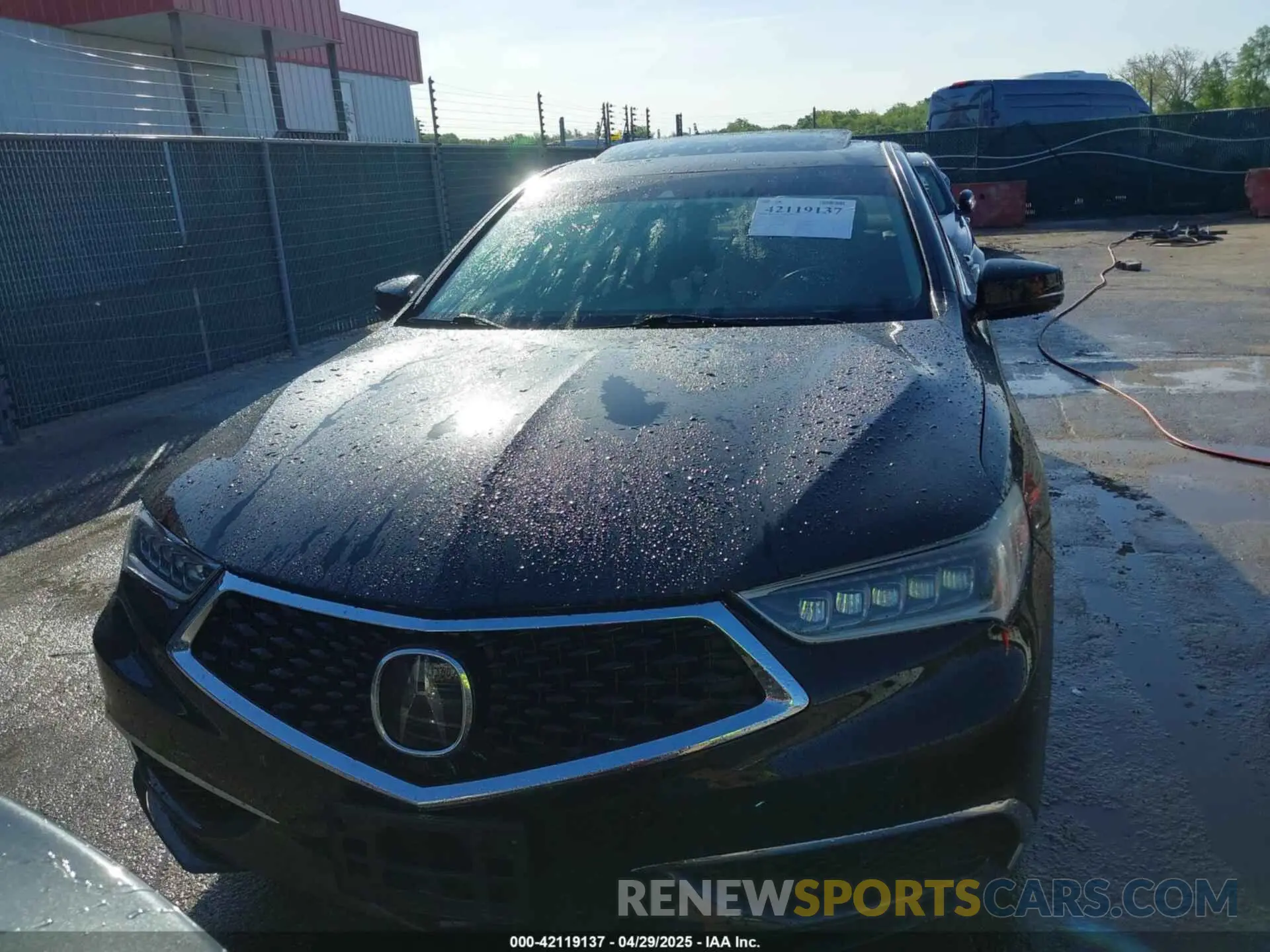 11 Photograph of a damaged car 19UUB1F52KA000293 ACURA TLX 2019