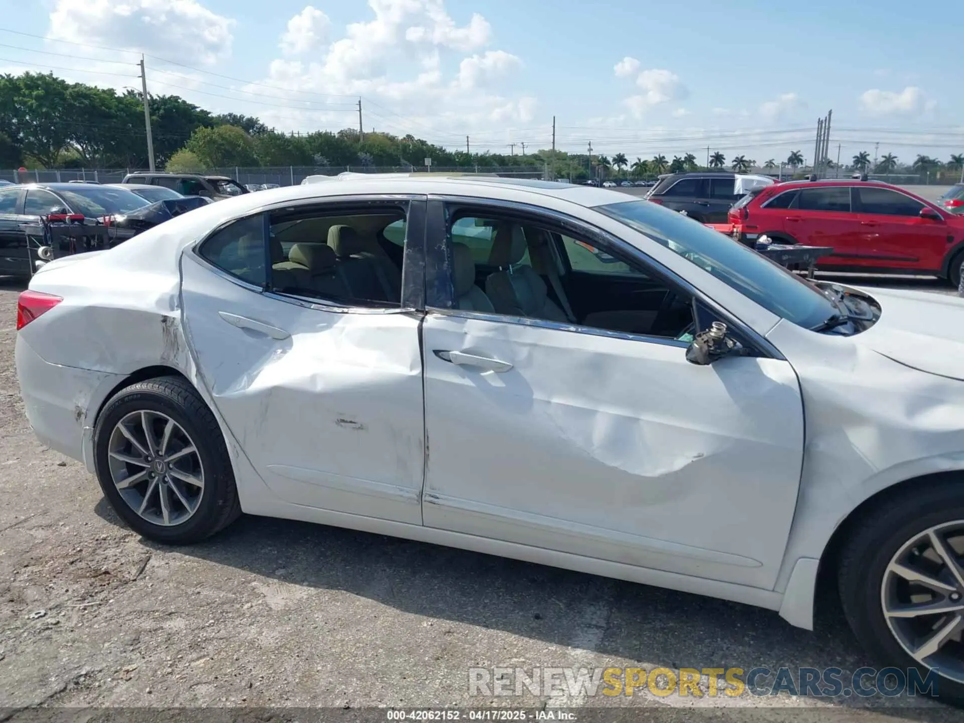 14 Photograph of a damaged car 19UUB1F52KA006384 ACURA TLX 2019