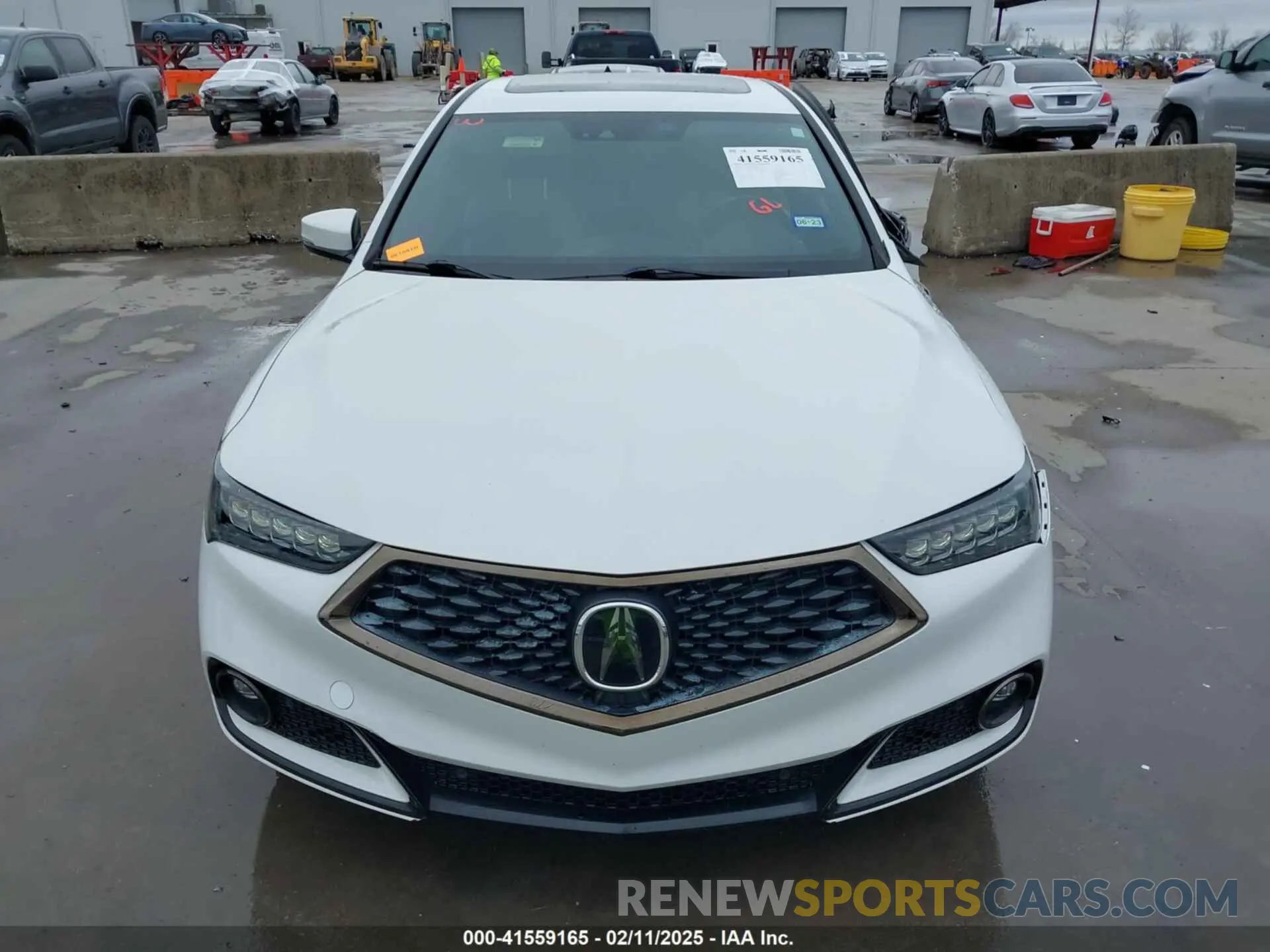 13 Photograph of a damaged car 19UUB1F60KA005081 ACURA TLX 2019