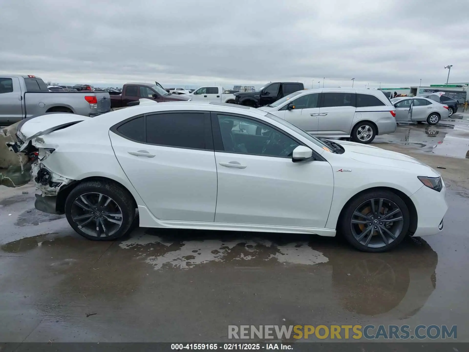 14 Photograph of a damaged car 19UUB1F60KA005081 ACURA TLX 2019