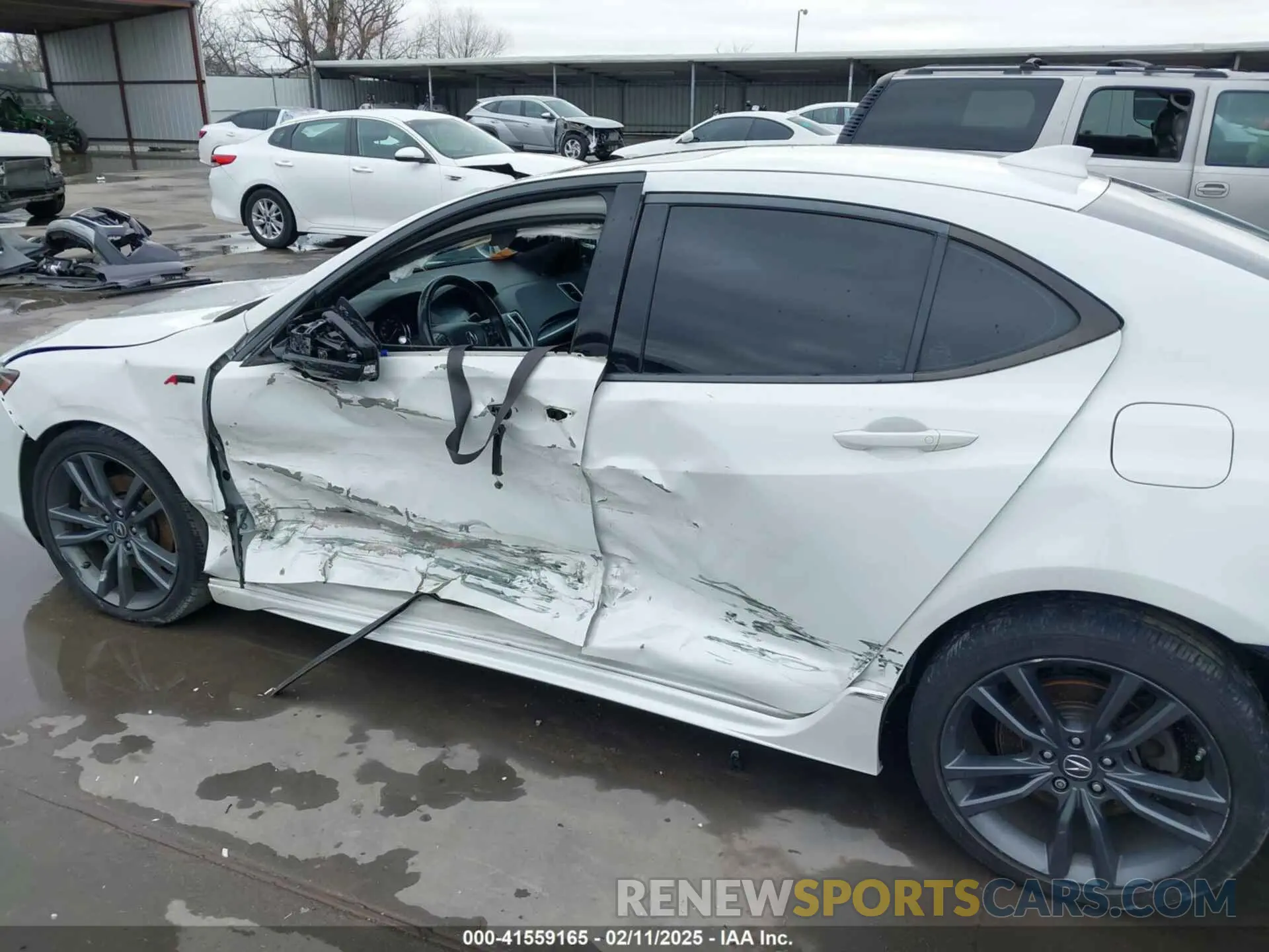 19 Photograph of a damaged car 19UUB1F60KA005081 ACURA TLX 2019