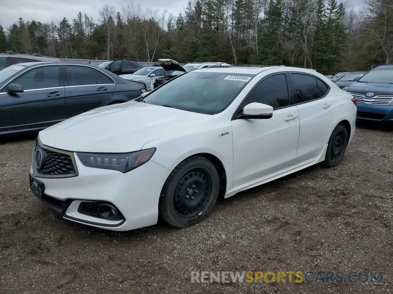 1 Photograph of a damaged car 19UUB1F61KA800995 ACURA TLX 2019
