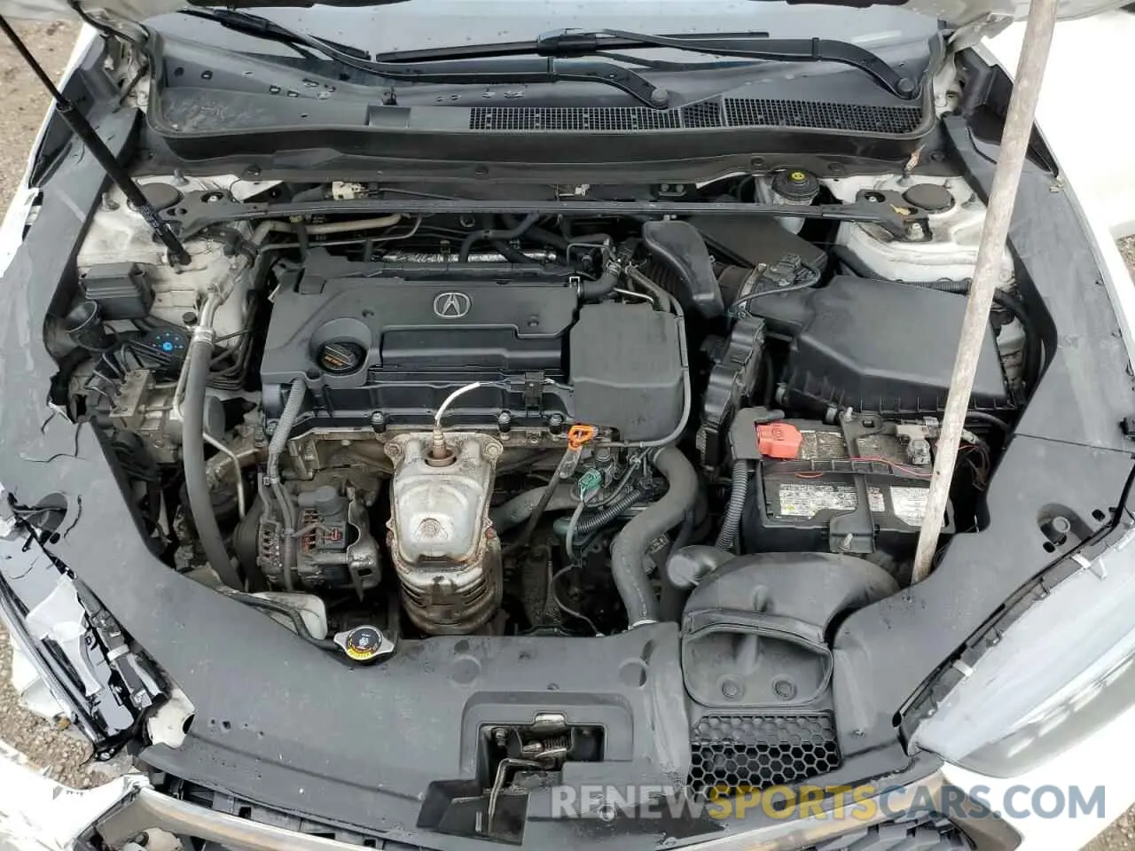 11 Photograph of a damaged car 19UUB1F61KA800995 ACURA TLX 2019