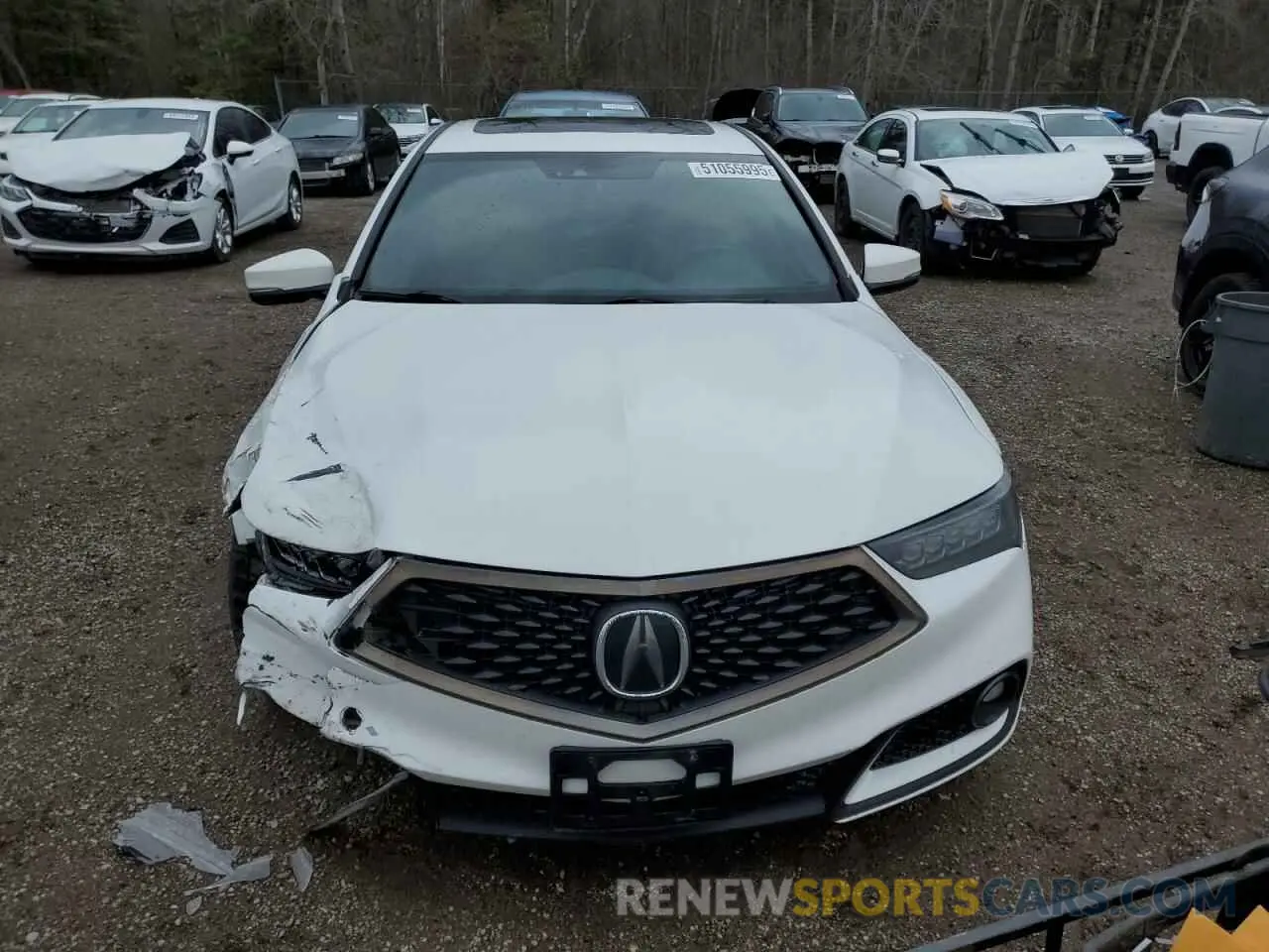 5 Photograph of a damaged car 19UUB1F61KA800995 ACURA TLX 2019