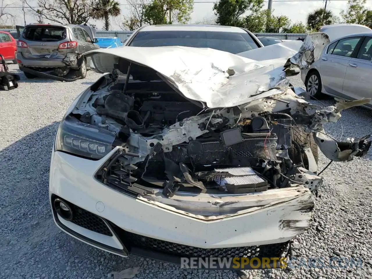 5 Photograph of a damaged car 19UUB1F63KA003938 ACURA TLX 2019