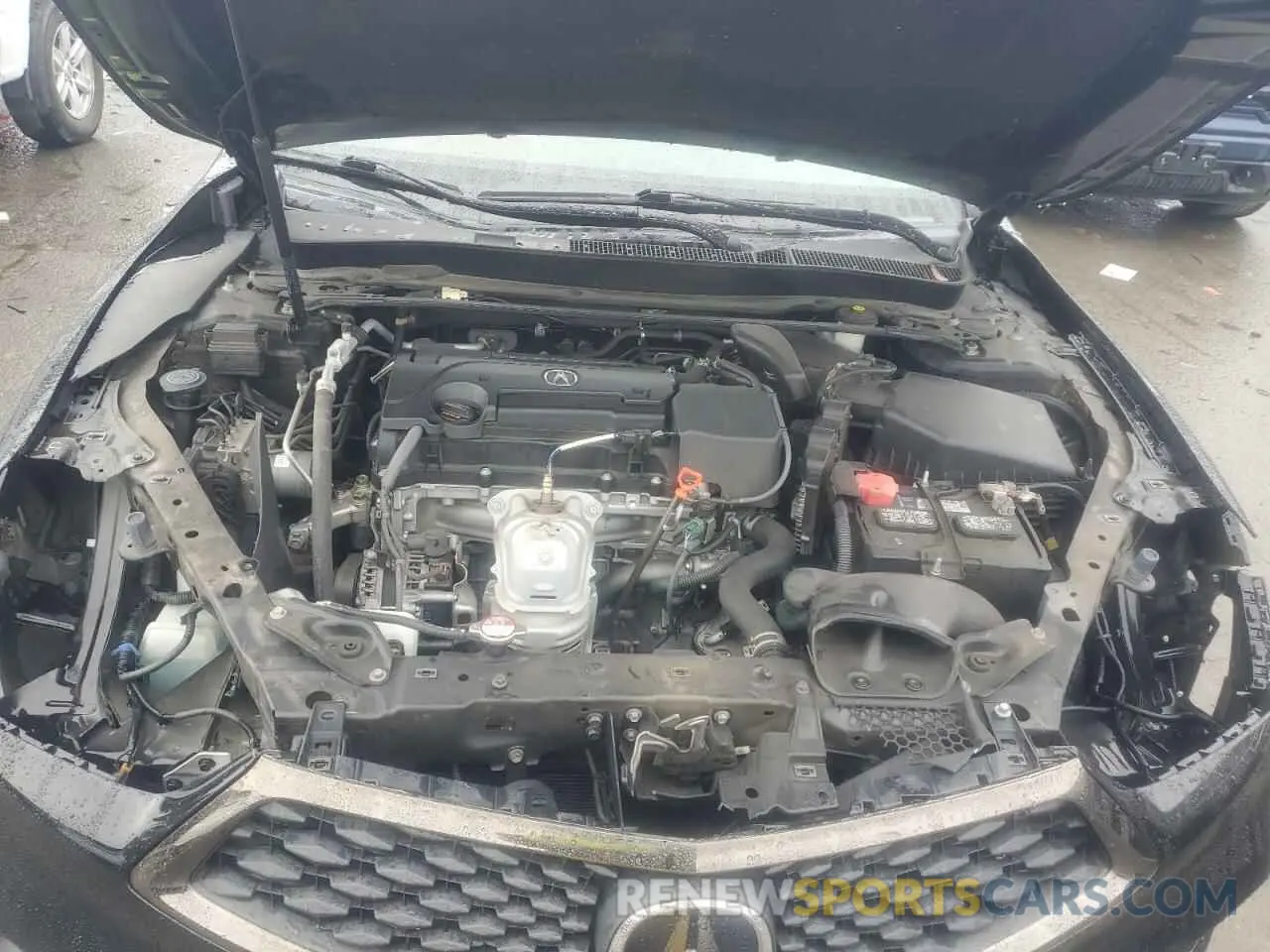11 Photograph of a damaged car 19UUB1F68KA004146 ACURA TLX 2019