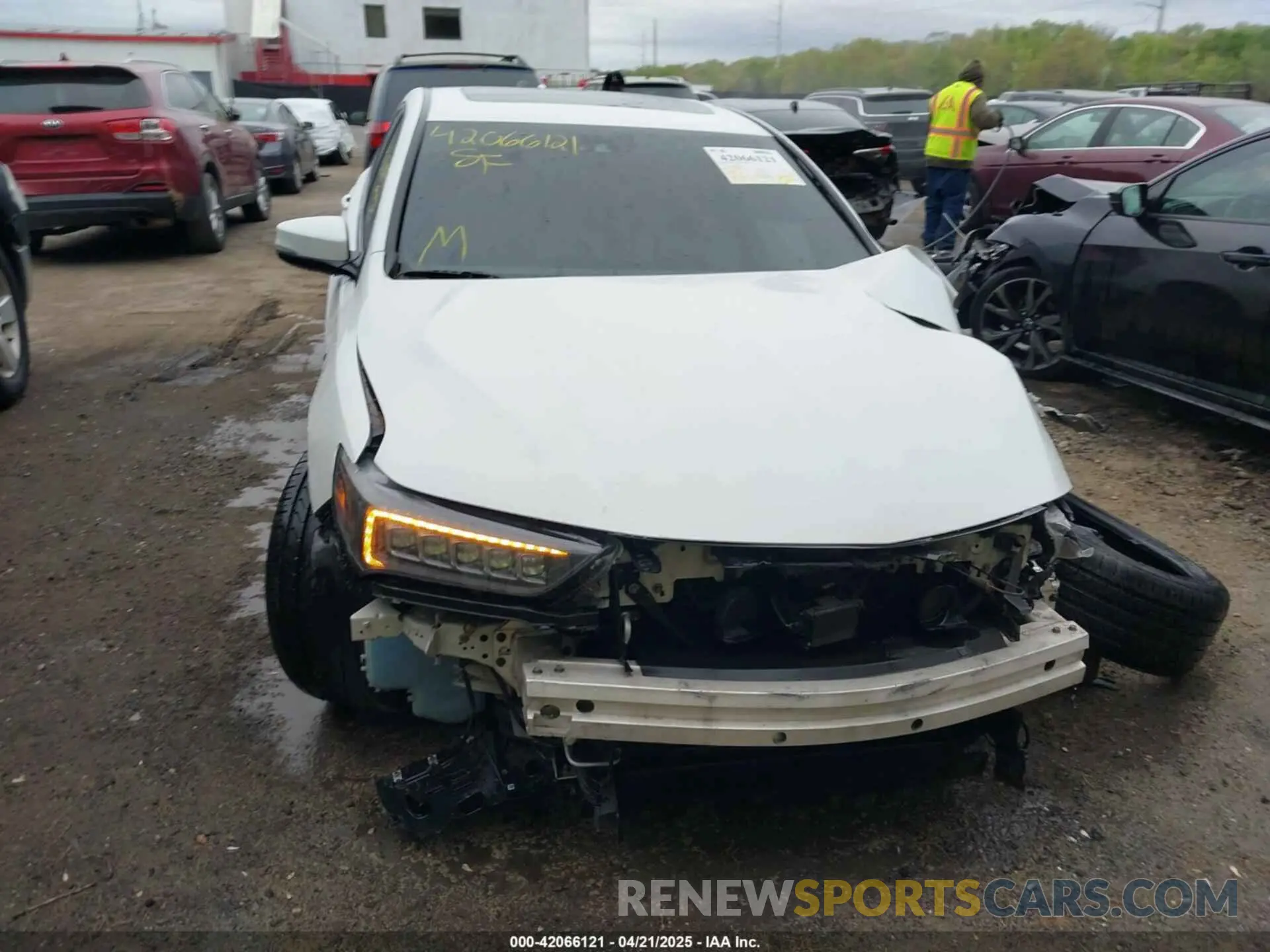 13 Photograph of a damaged car 19UUB1F69KA005273 ACURA TLX 2019