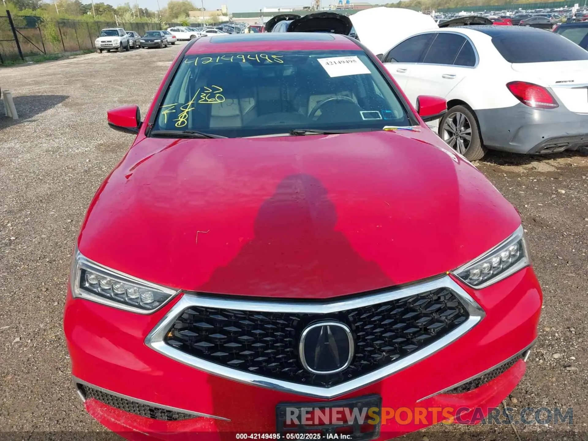 12 Photograph of a damaged car 19UUB2F37KA005185 ACURA TLX 2019