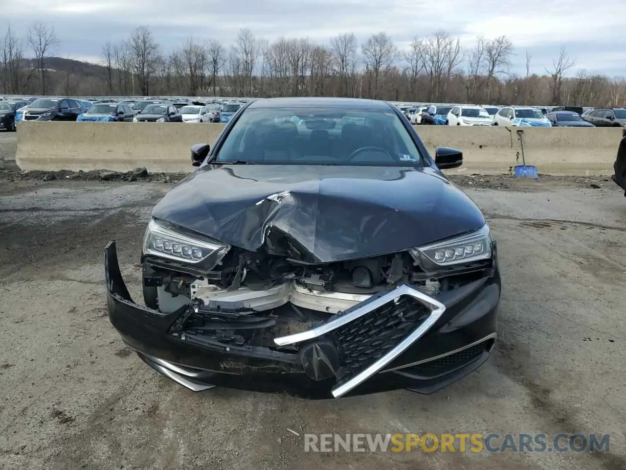 5 Photograph of a damaged car 19UUB2F38KA005759 ACURA TLX 2019