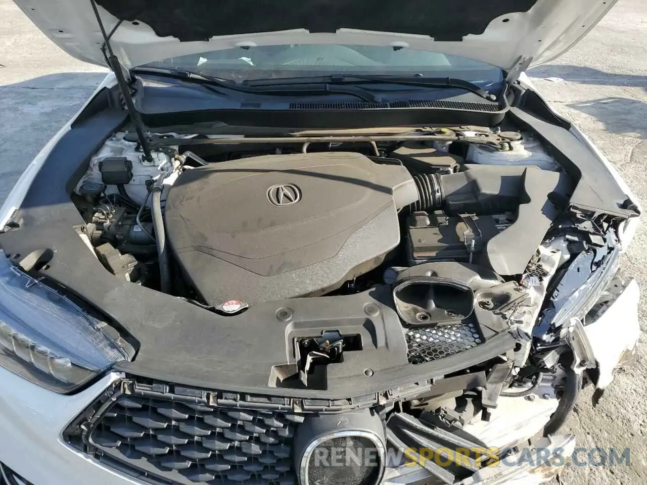 11 Photograph of a damaged car 19UUB2F61KA006035 ACURA TLX 2019