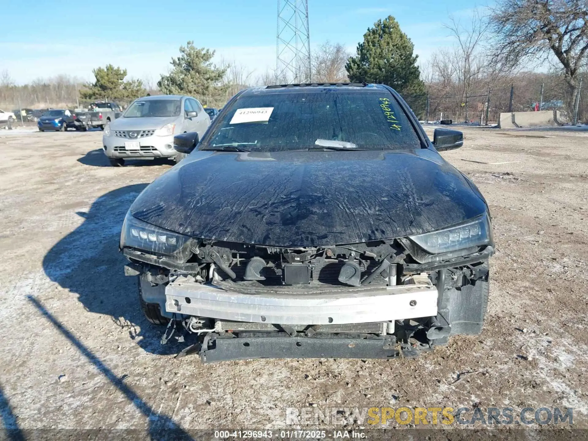 12 Photograph of a damaged car 19UUB2F61KA009548 ACURA TLX 2019