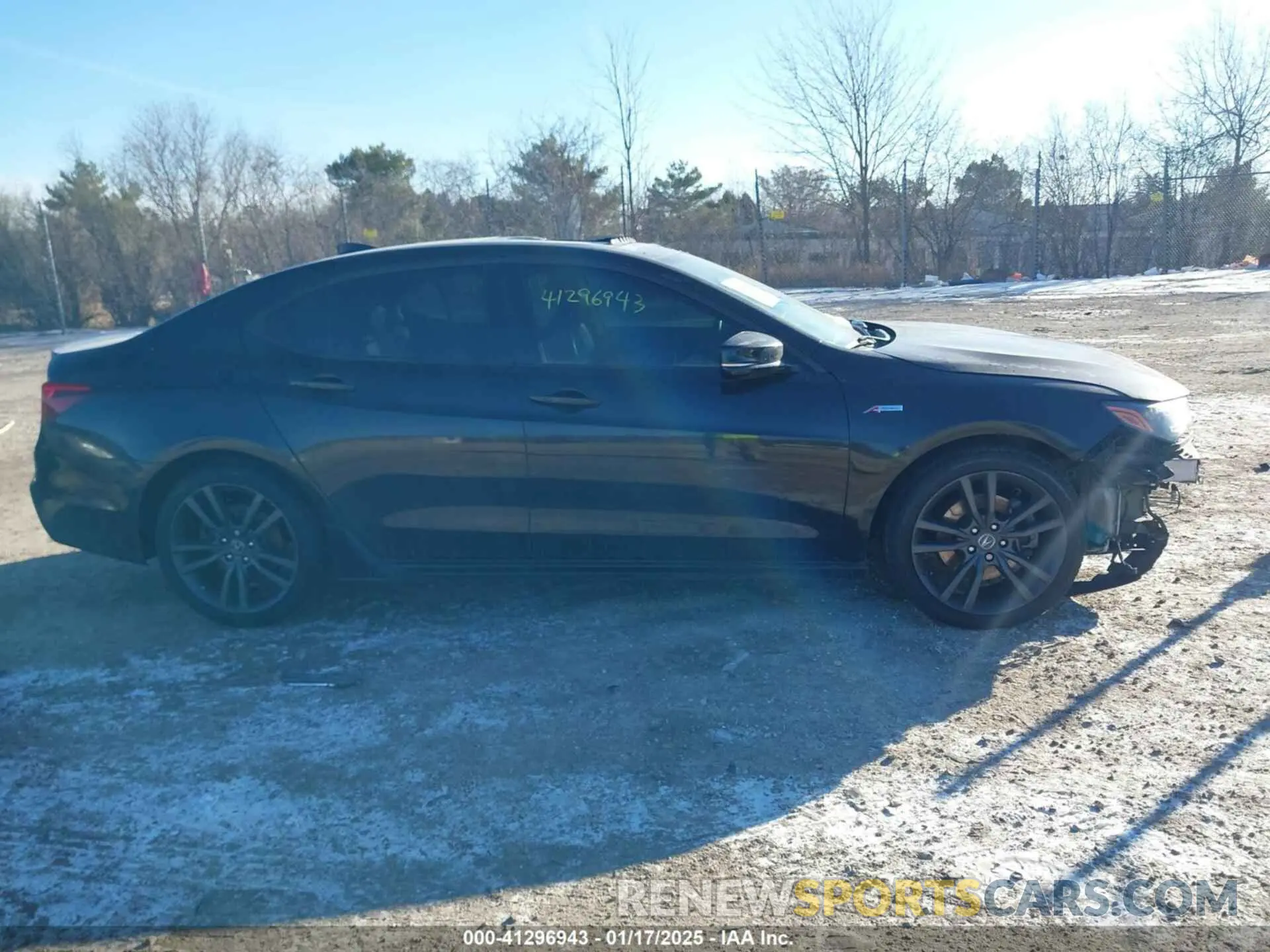 13 Photograph of a damaged car 19UUB2F61KA009548 ACURA TLX 2019
