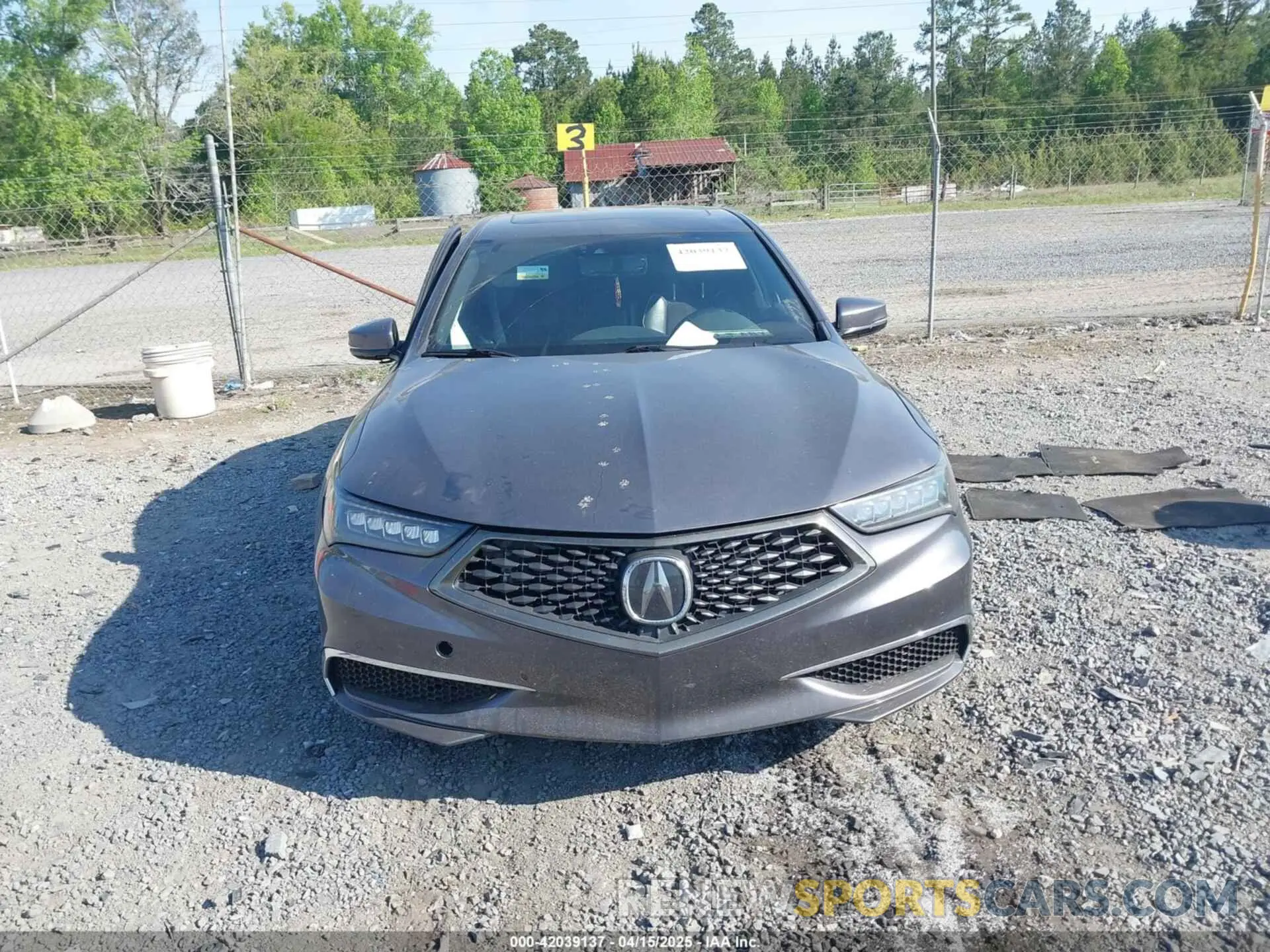 12 Photograph of a damaged car 19UUB2F62KA006920 ACURA TLX 2019