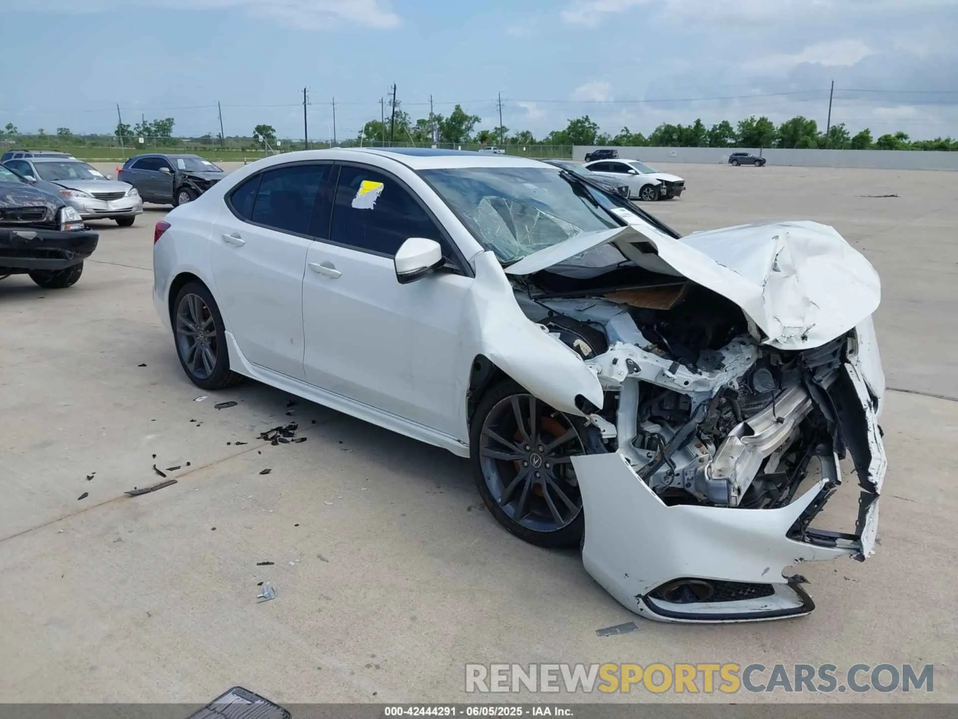 1 Photograph of a damaged car 19UUB2F62KA007114 ACURA TLX 2019