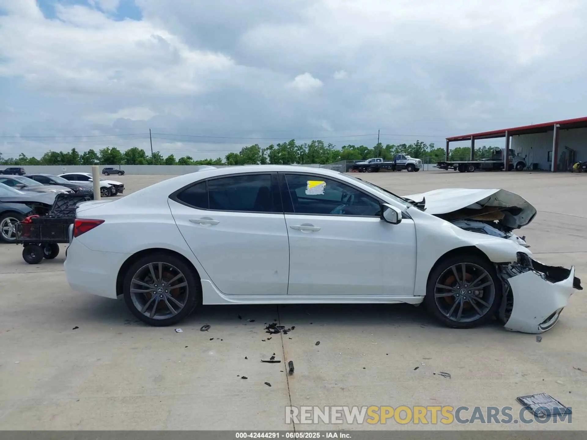 13 Photograph of a damaged car 19UUB2F62KA007114 ACURA TLX 2019